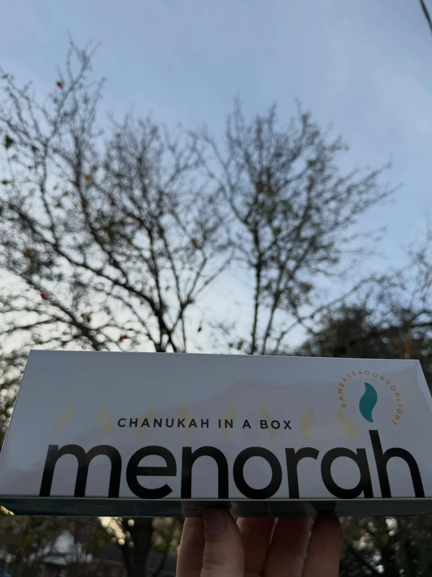 Don&rsquo;t keep your friends in the dark. ⁣
⁣
Know someone who needs a Menorah? DM us and we&rsquo;ll get this snazzy 🕎 and Dreidel heading their way