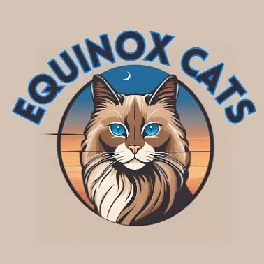 The beginning of a beautiful adventure! Future home to wonderful ragdoll cattery in Arizona.