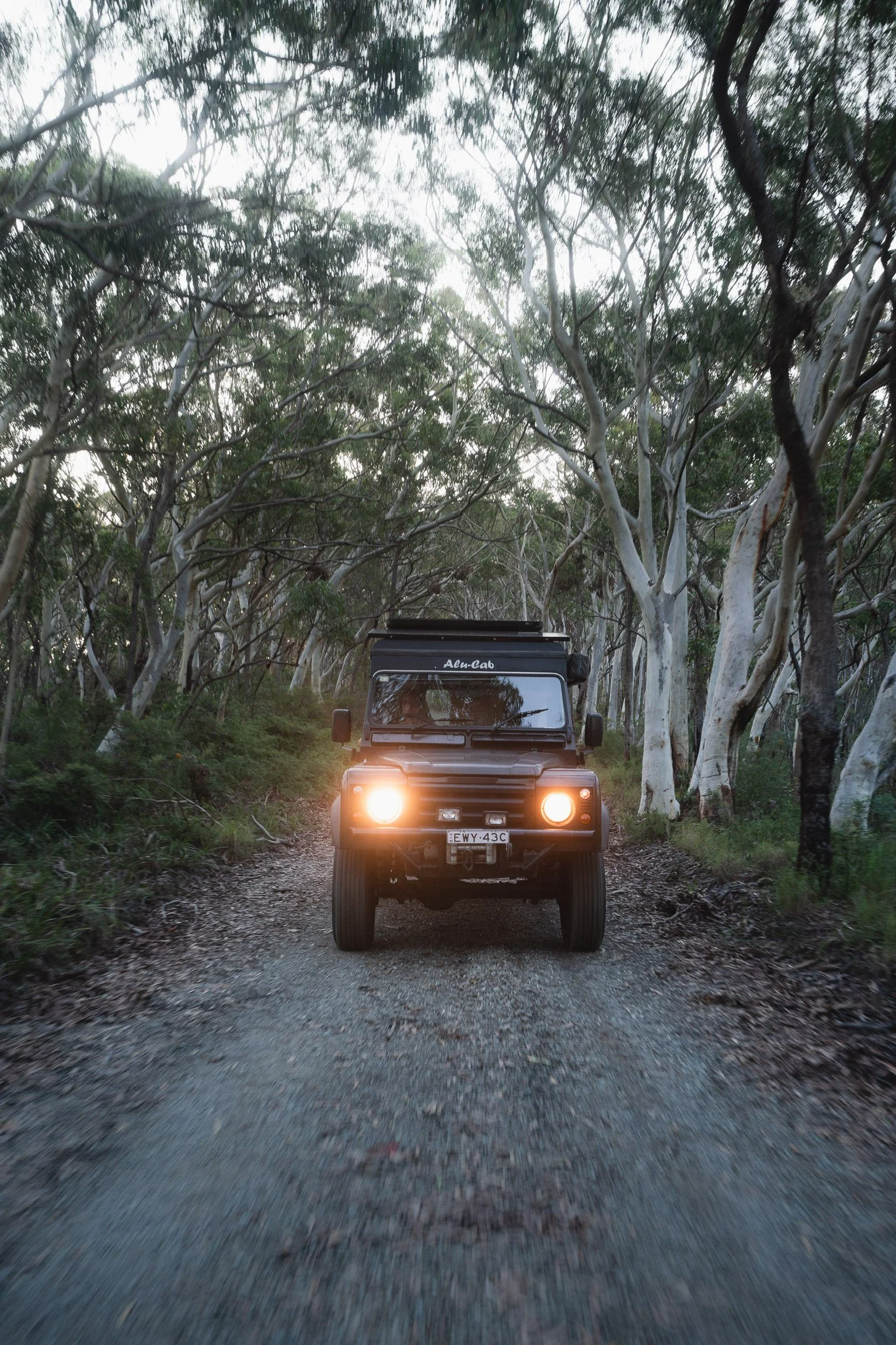 A black off-road vehicle with its headlights on, driving down a gravel forest trail surrounded by tall, white-barked trees.
