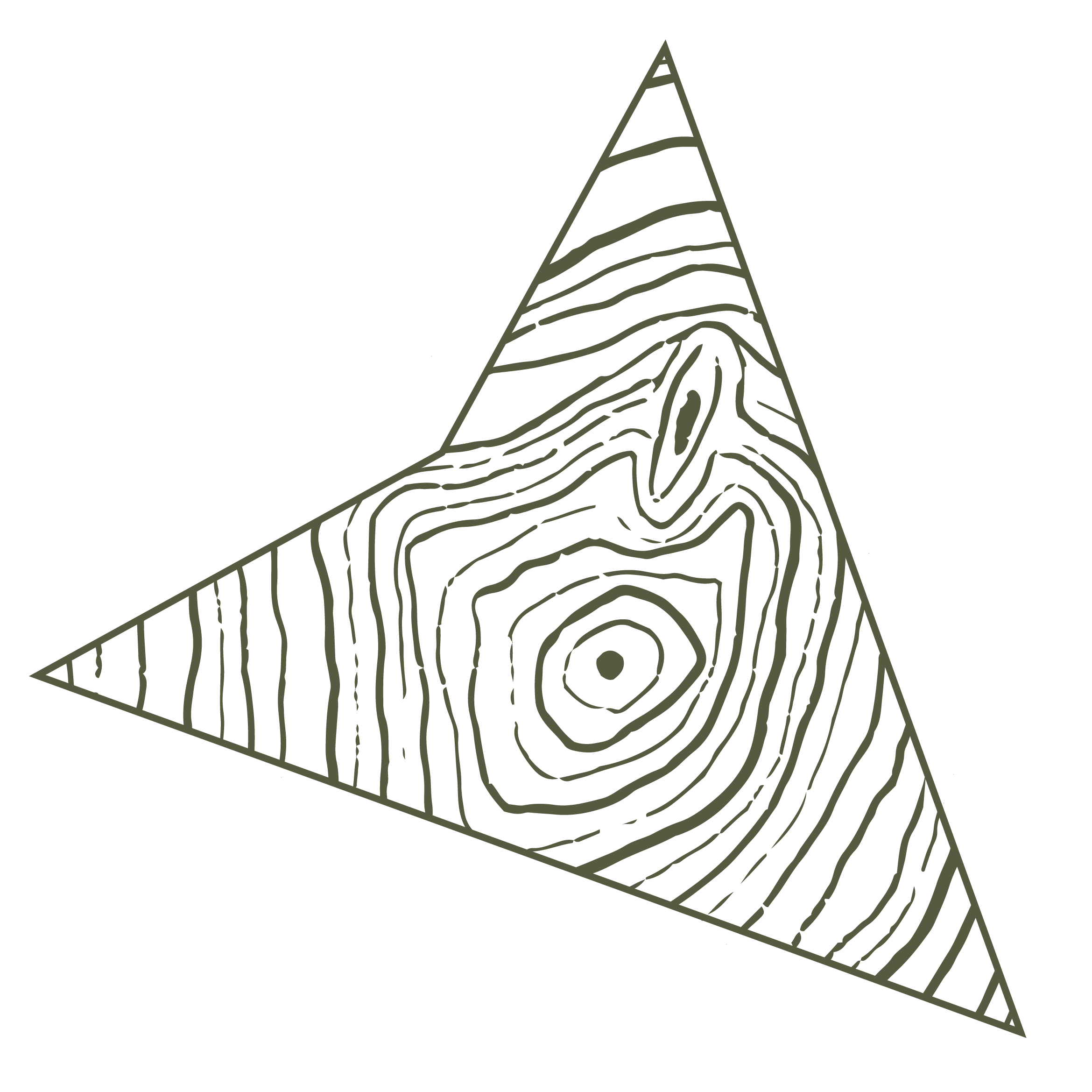 A stylized triangle with inner contours resembling a topographic map or wood grain pattern, on a black background.