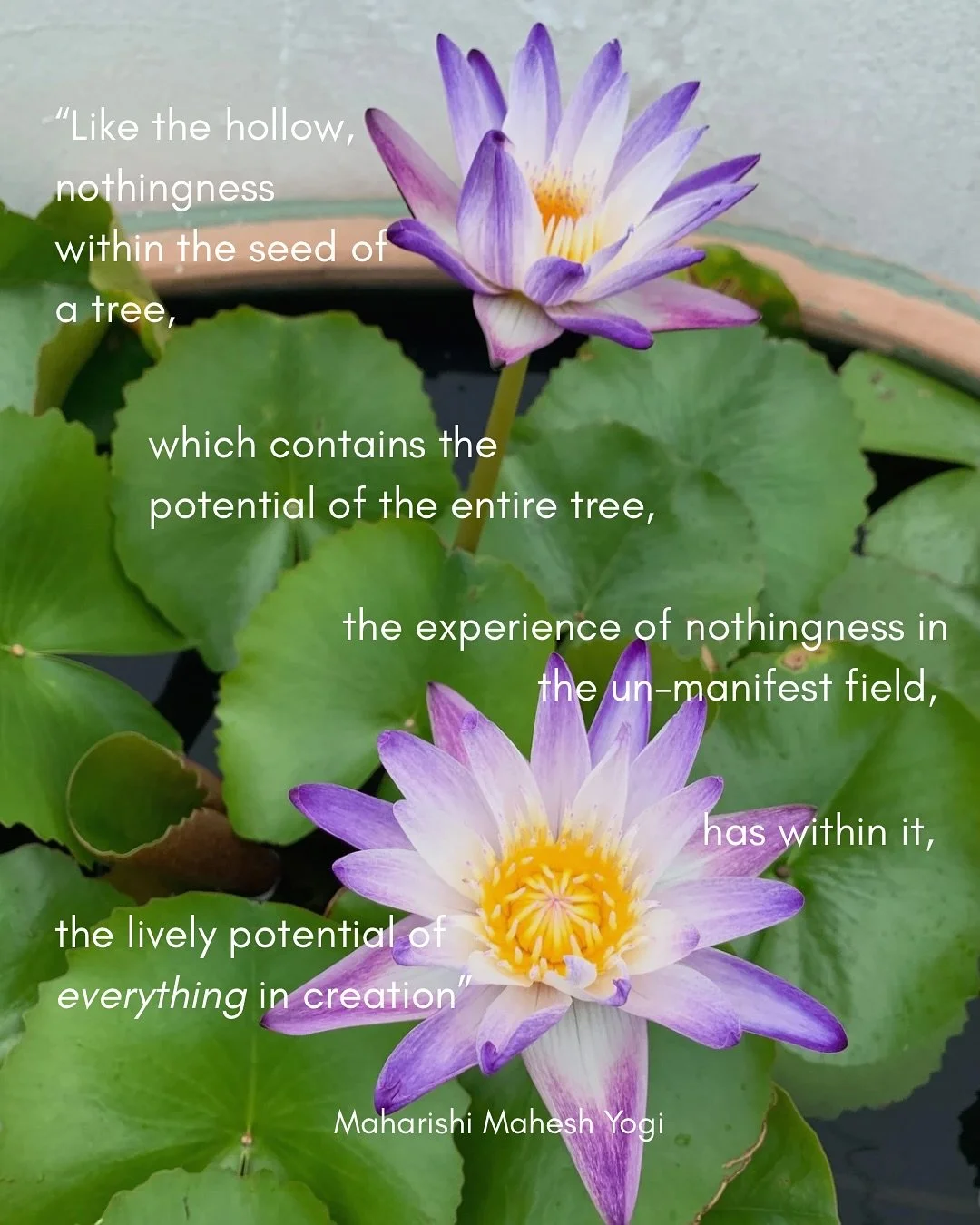 SILENT, VAST, AWAKE.
&ldquo;Like the hollow nothingness within the seed of a tree, which contains the potential of the entire tree, the experience of nothingness in the un-manifest field has within it, the lively potential of everything in creation&r