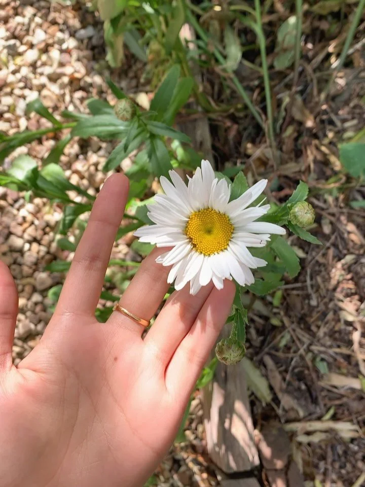 &ldquo;The sun shines, and it shines forever in fullness. It may be that the clouds are gathering. Let them come and go, they go as they come. Take no notice of their coming; you go your way. Make your way through the clouds if they lie on the way. D