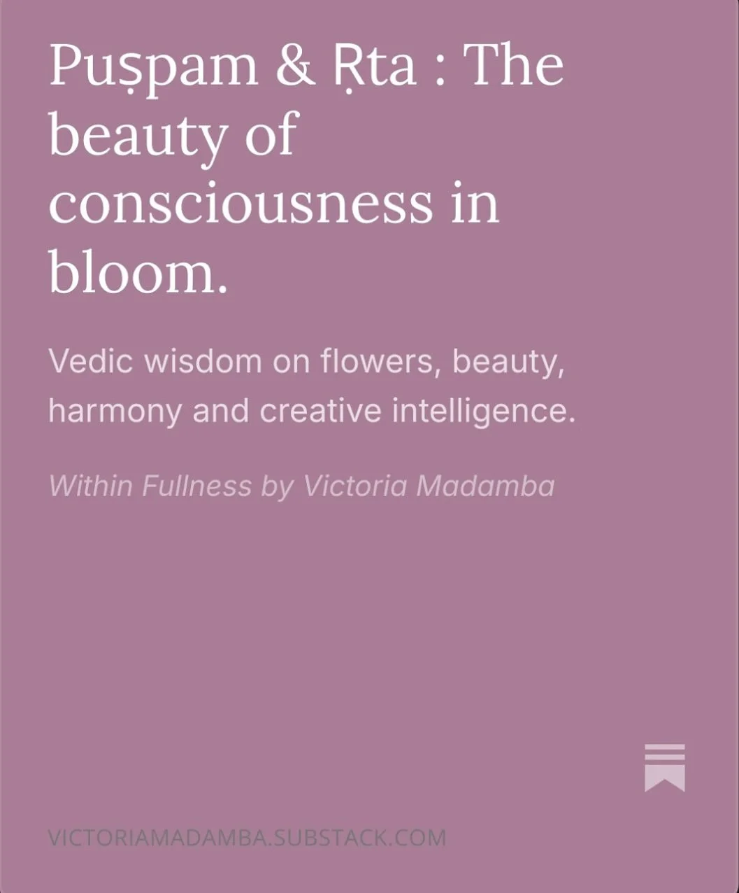 Flowers, Consciousness, Art, Beauty, Meditation, Nature&rsquo;s Intelligence, Aesthetics 🌸🪷🌺 Essentially writing about everything i&rsquo;m currently interested in! Read more on Substack (link in bio).