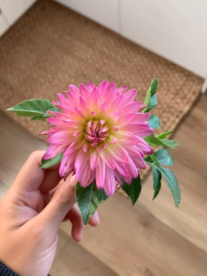 Why do we practice? Why do we do all the things we do? For freedom? To be ultra spiritual? What does that even mean? 

Often we practice for some utopia that seems to be somewhere &ldquo;out there.&rdquo; But over time, what I&rsquo;ve come to notice