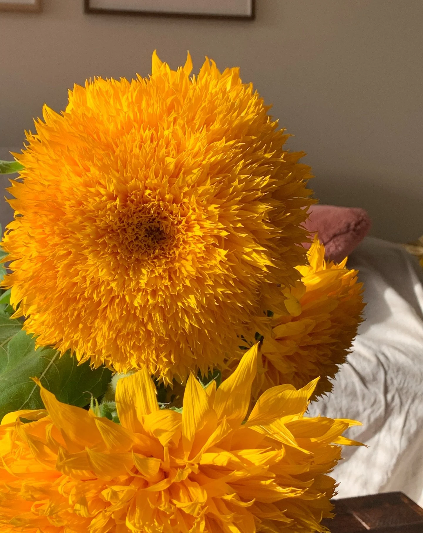 Can you respond to life?

Or do you mistake a gift,

A gentle nudge,

Towards a particular direction,

As something frivolous,

Delicate,

Changeable,

Unstable,

Unproductive.

&ldquo;Perhaps another time&hellip;&rdquo;

&ldquo;When I feel ready&hel