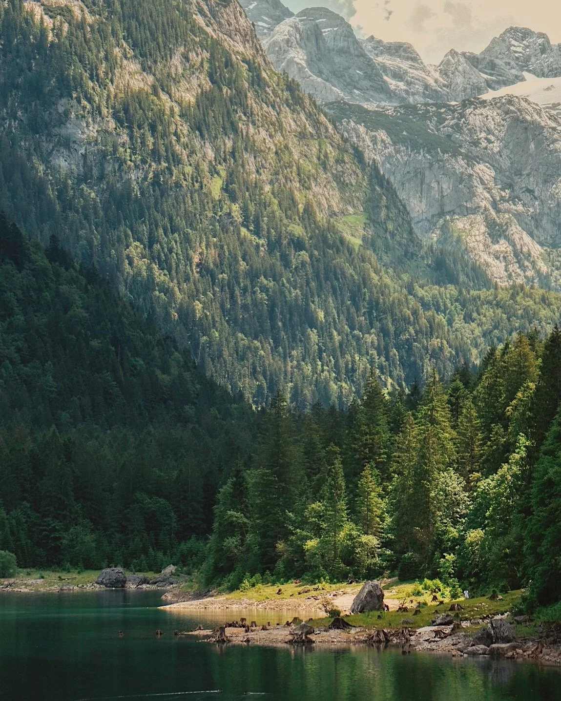 A scenic view of a forested mountain landscape with a lake in the foreground and snow-capped peaks in the background.