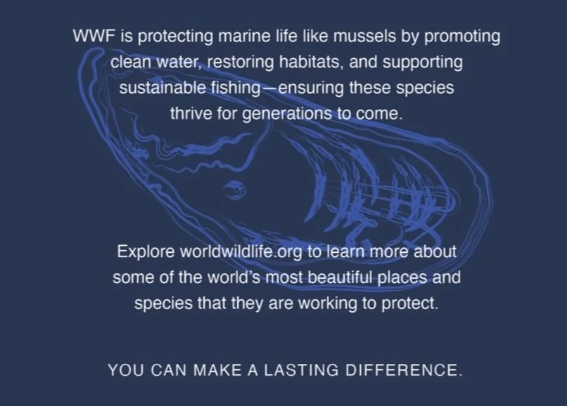 World Wildlife Fund Postcard 3