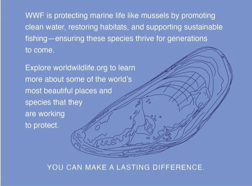 World Wildlife Fund Postcard 1