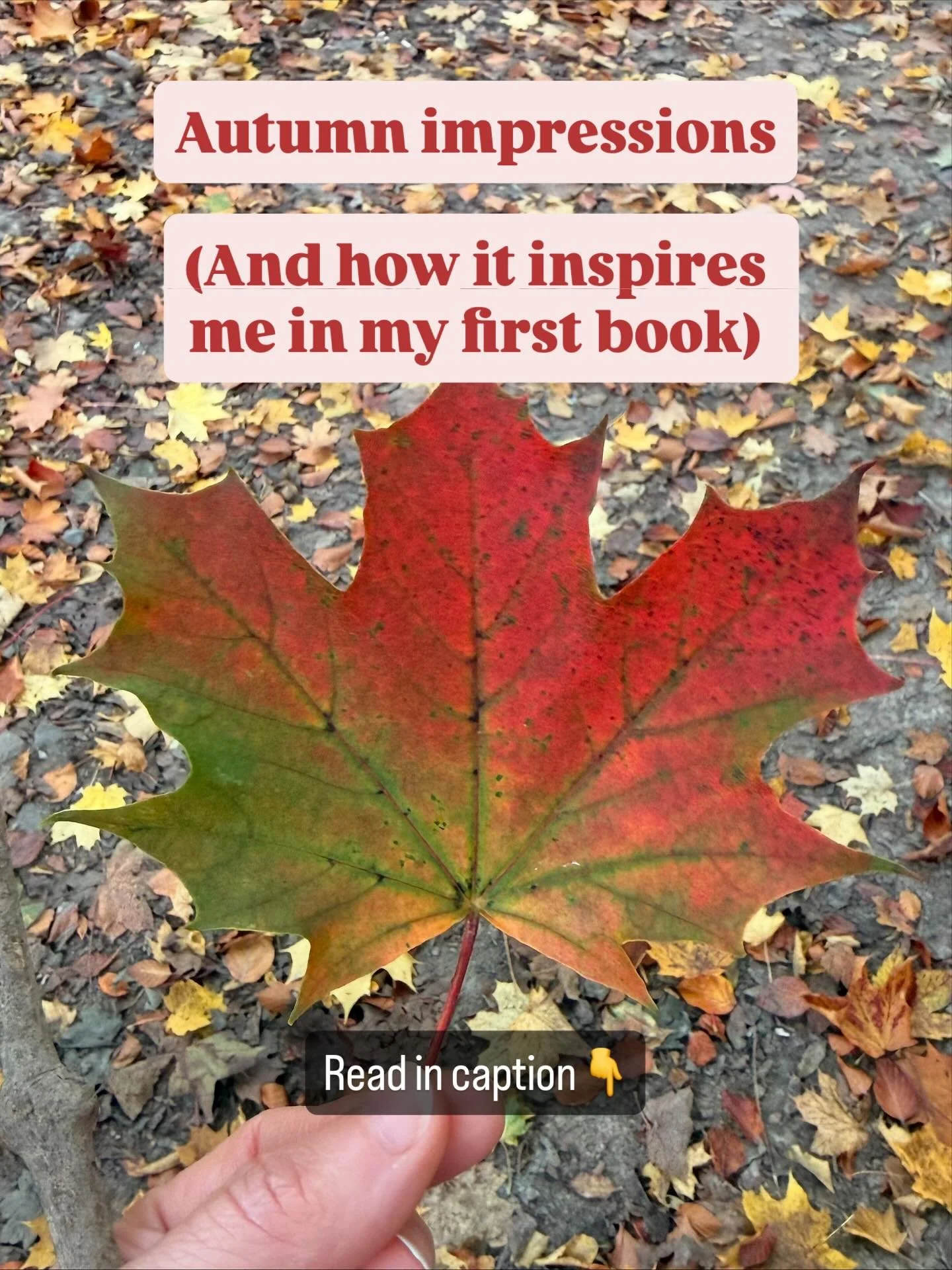 I truly always hesitate to leave summer.
Part of me wants just a little more light,
a few more barefoot days, a few more breaths without layers. Every year I resist — until the season itself reminds me how gentle change can be.
And every year,