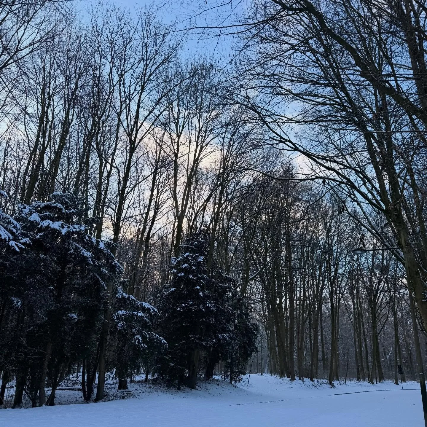 Januari mag traag zijn.

De afgelopen weken was ik op verlof. Knus. Bij mijn gezin. Mee met het ritme van winter en de kerstvakantie. 

Ik genoot van minder moeten, meer samen zijn, en het soort stilte waarbij je letterlijk stilvalt. Ik ontdekte een 