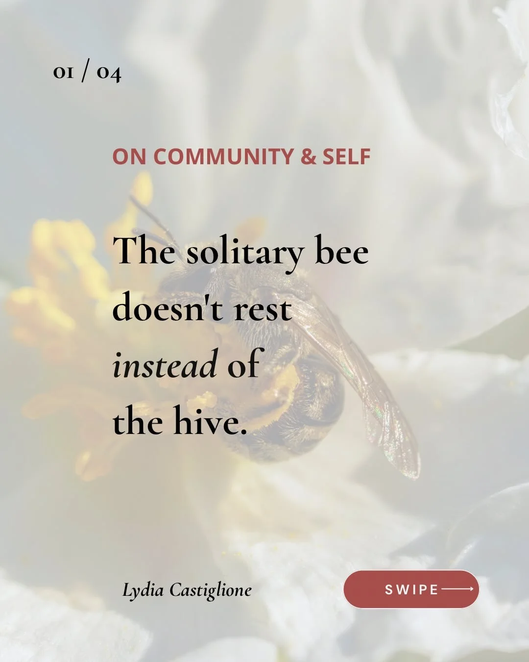 One of my dearest friends read my last post and asked something profound. &ldquo;Aren&rsquo;t we already too focused on ourselves in this society?&rdquo; And she&rsquo;s right! We live in a culture that has quietly traded community for independence. 