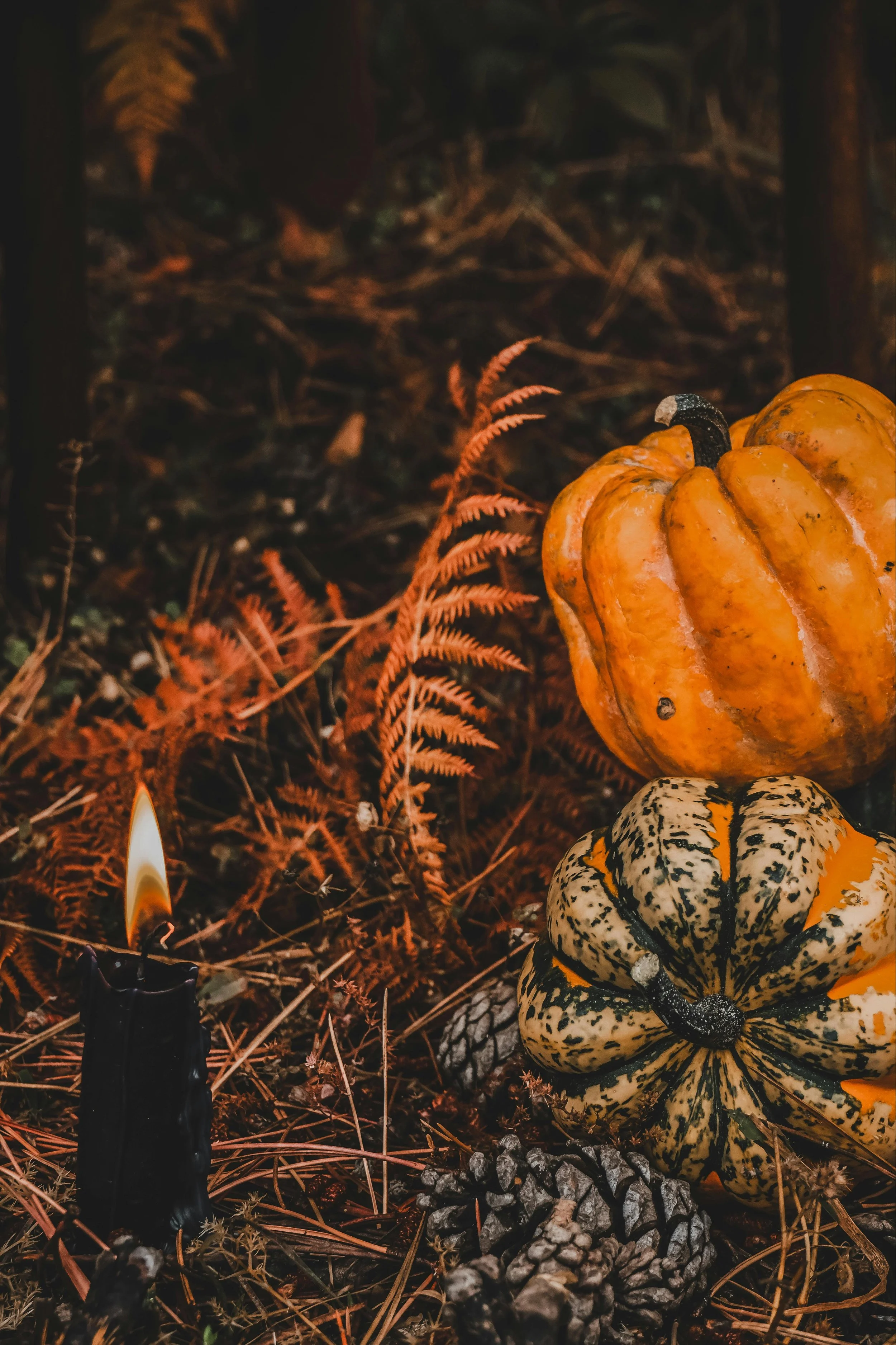 Samhain— Death & Rebirth