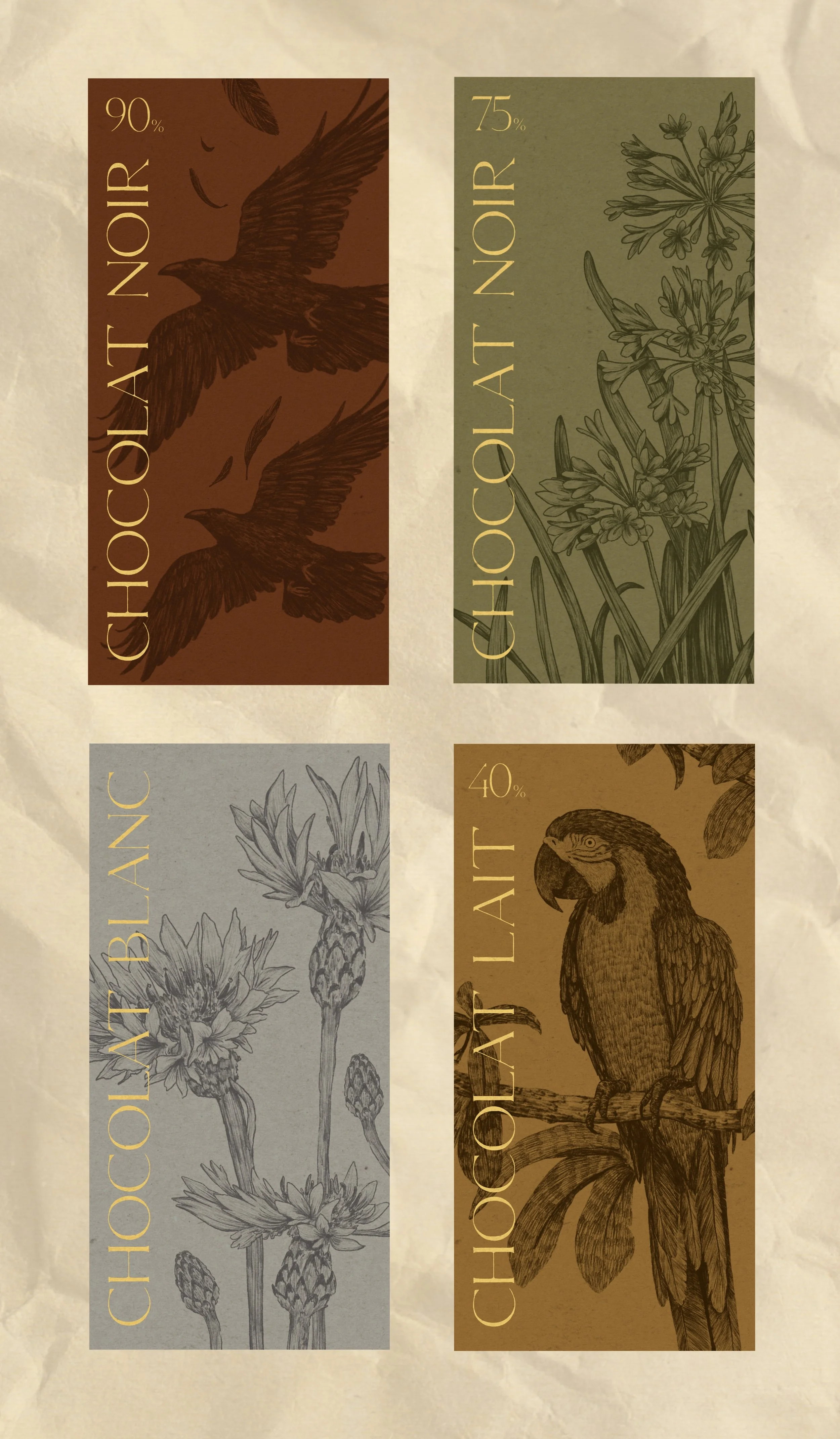 tablettes de chocolat  (20241108114704).jpg