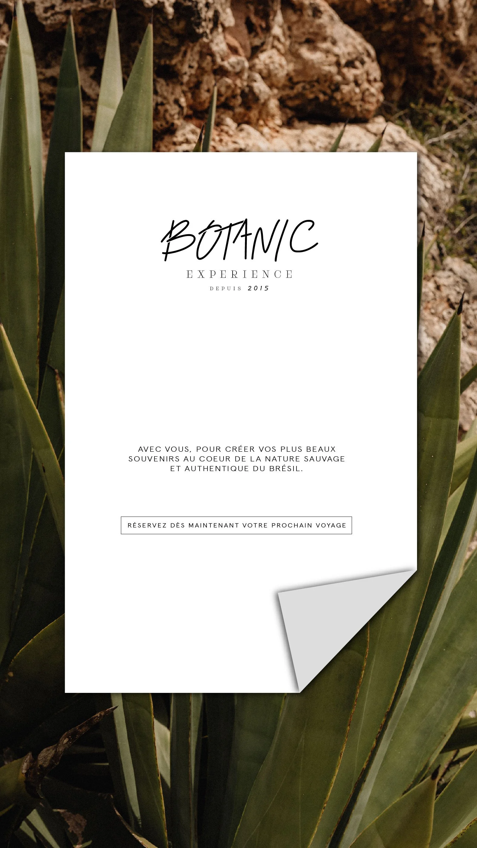 Une affiche promotionnelle pour une expérience botanique, avec un fond de plantes succulentes et de roches. Le texte est en français, évoquant la nature sauvage et authentique du Brésil, avec une invitation à réserver un voyage.