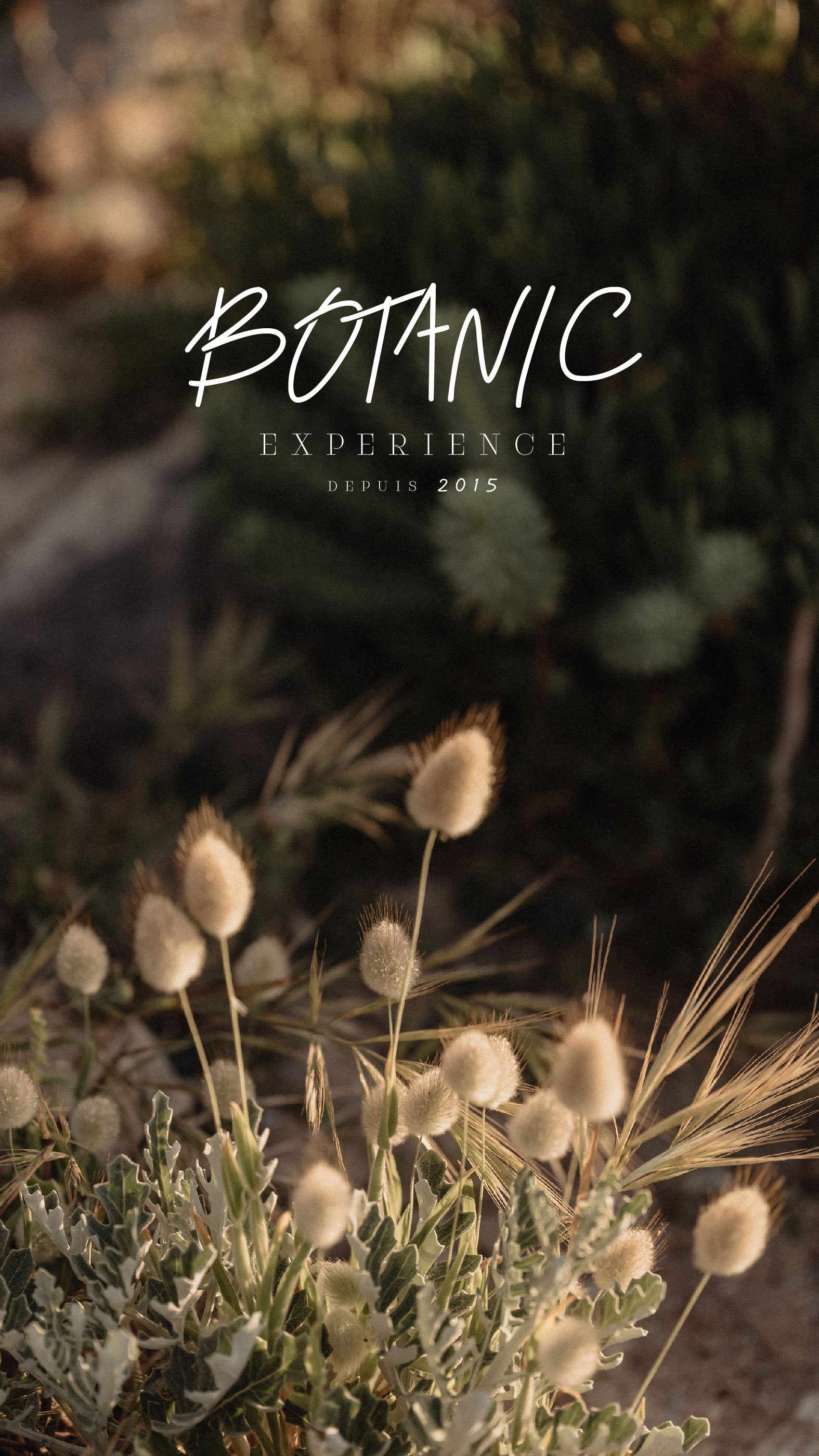 Fleurs blanches douces dans un environnement naturel brunâtre, avec texte promotionnel pour une expérience botanique depuis 2015.