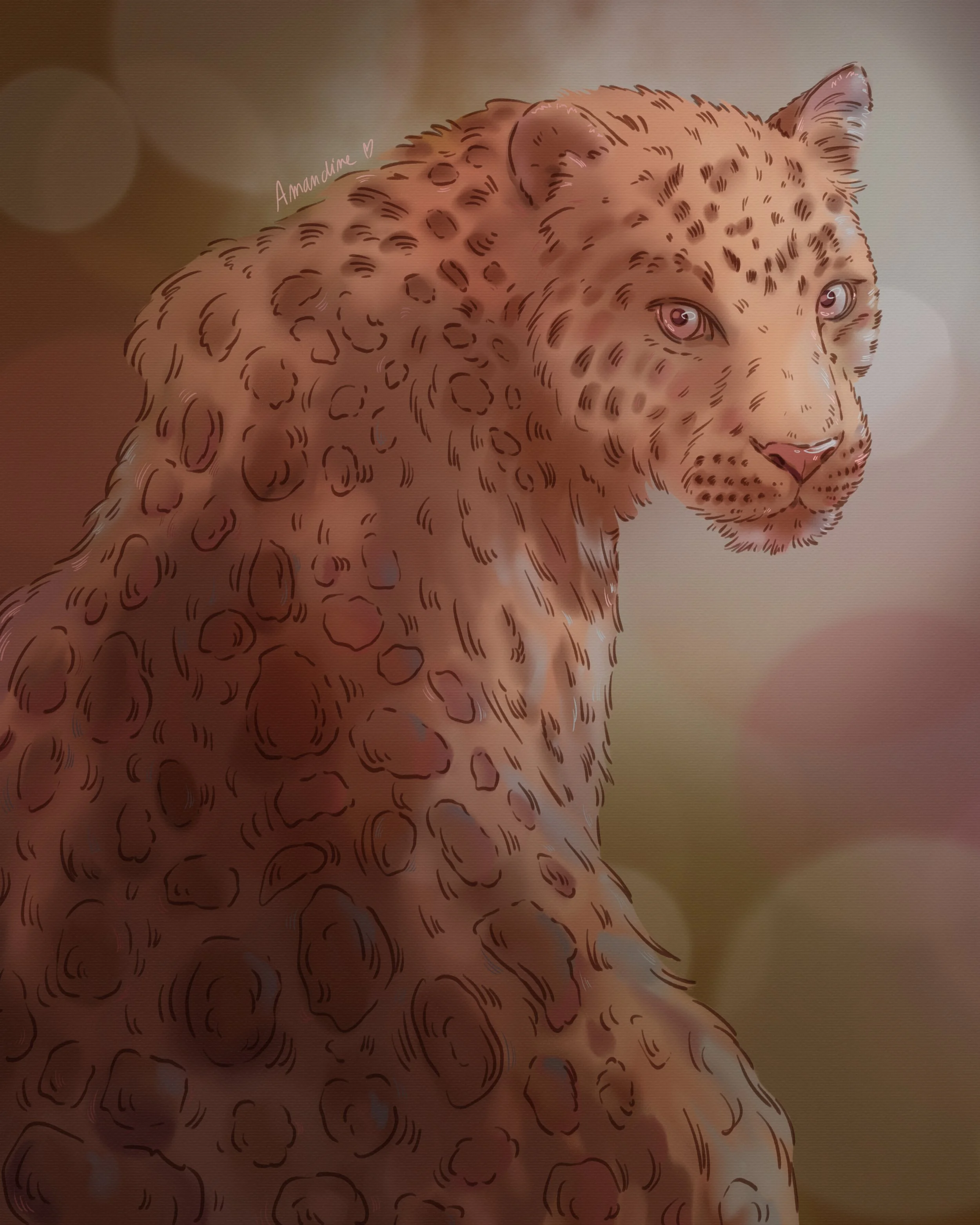 léopard (20260306031804).jpg
