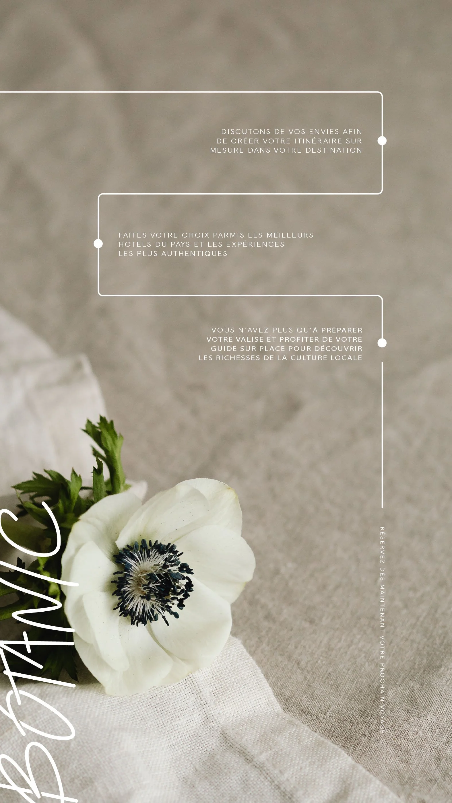 Une fleur blanche avec un centre noir et blanc, posée sur un tissu blanc avec un fond en béton.