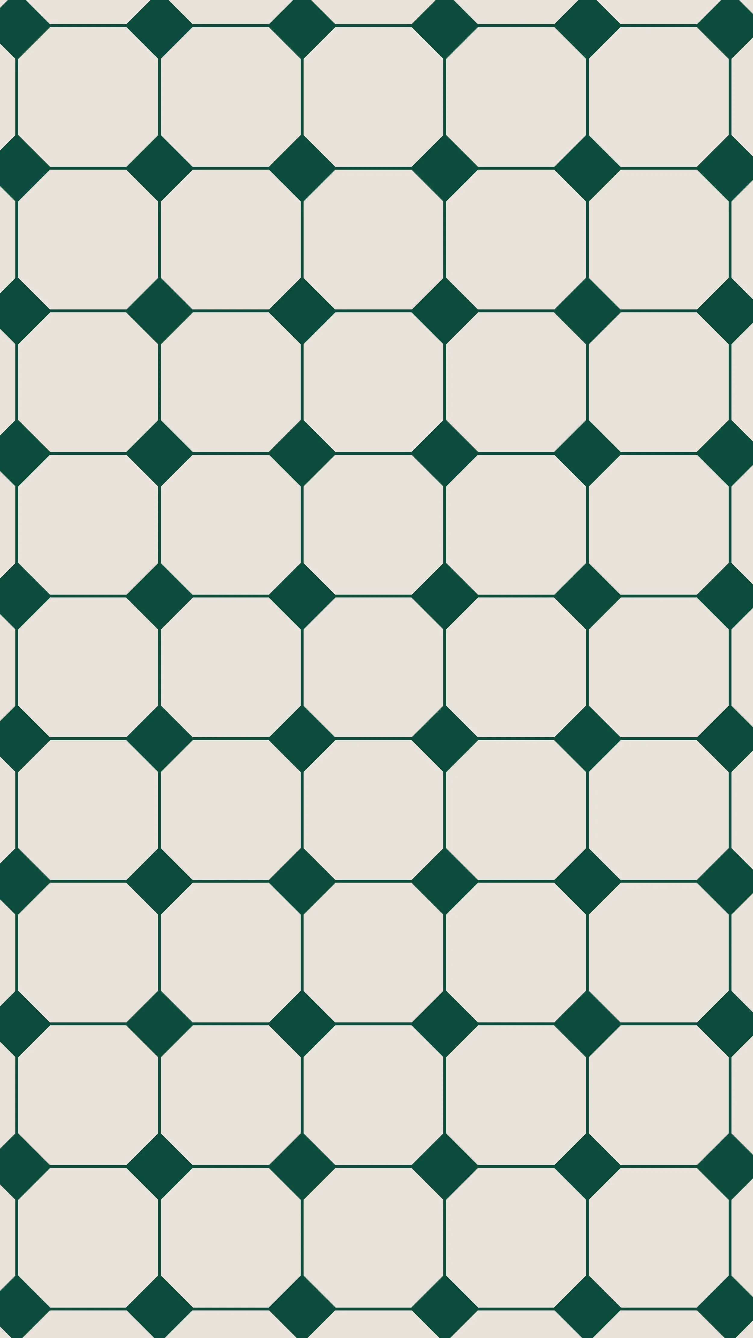 2024_06_25_explore voyage-17.jpg