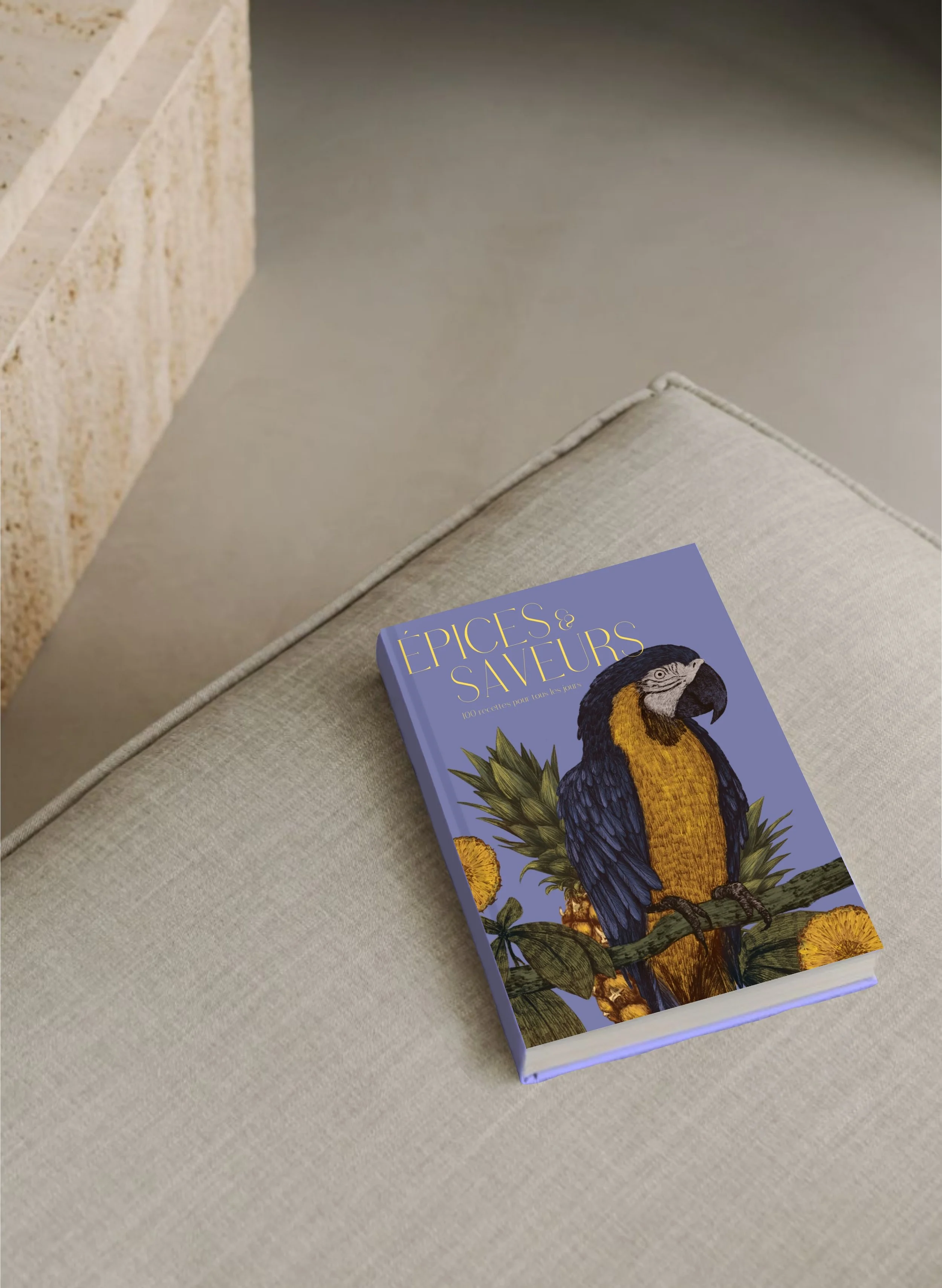 présentation livre de cuisine  (20241120111307).jpg