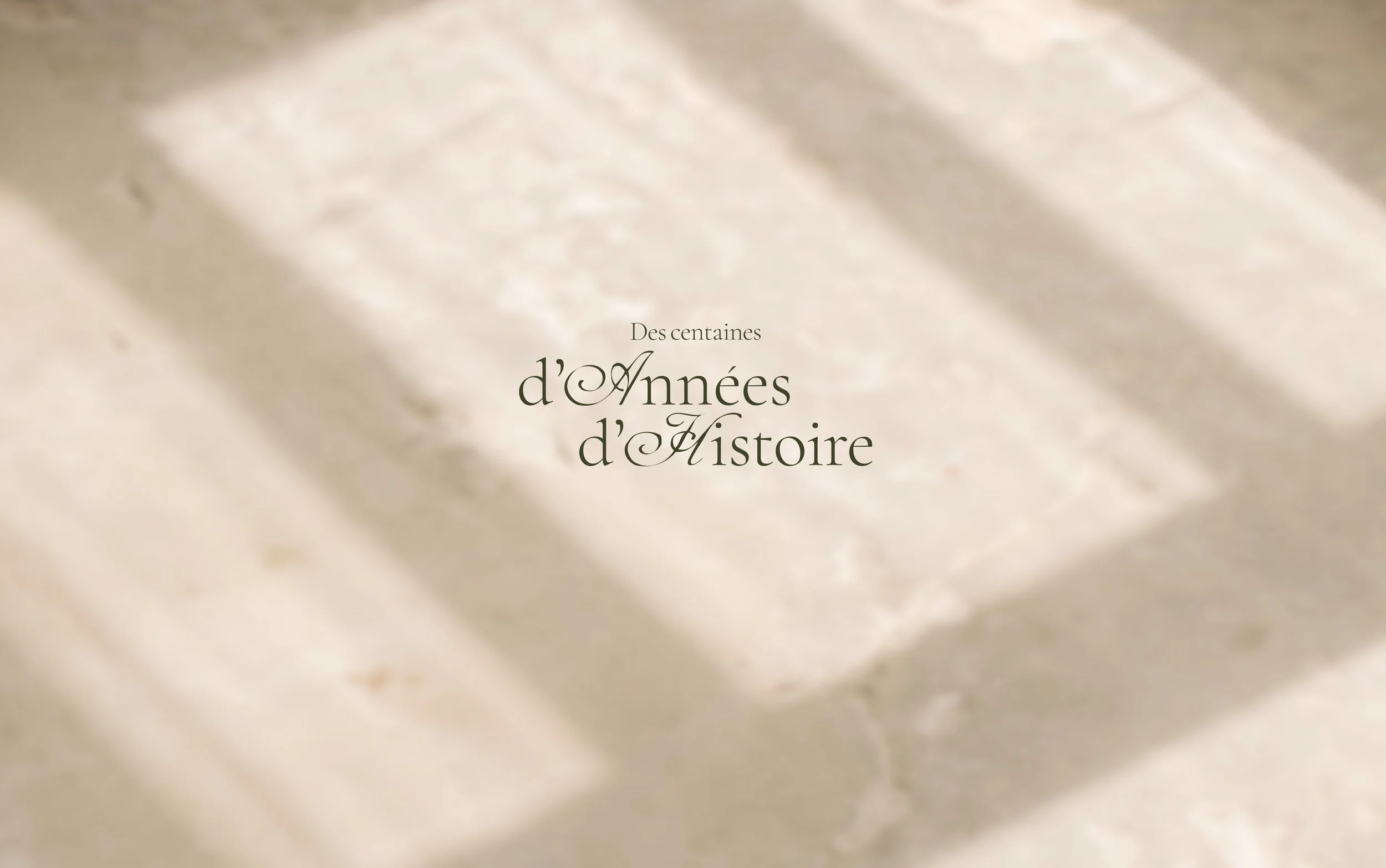 présentation logo.jpg