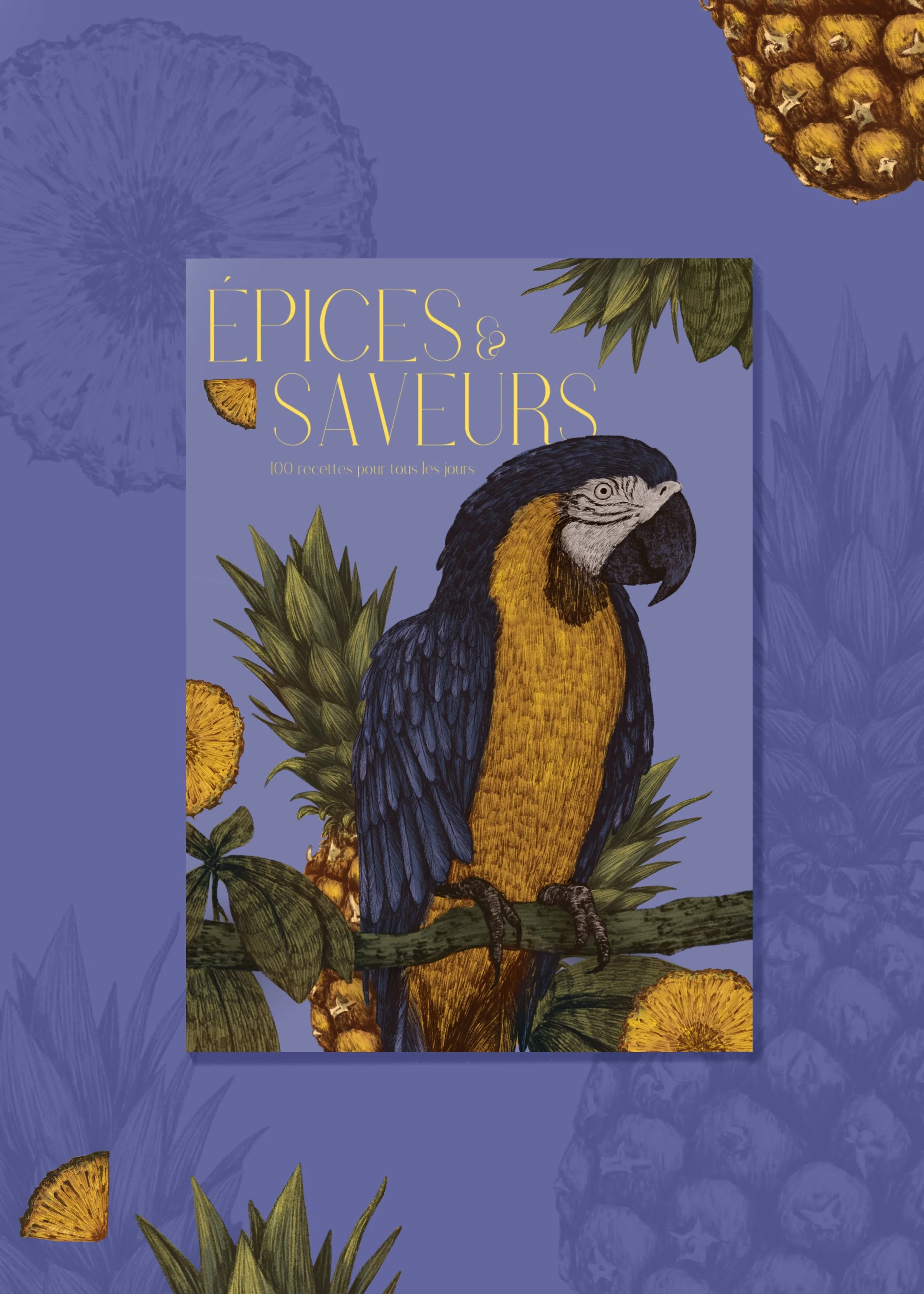 présentation livre de cuisine 3 (20241120112919).jpg