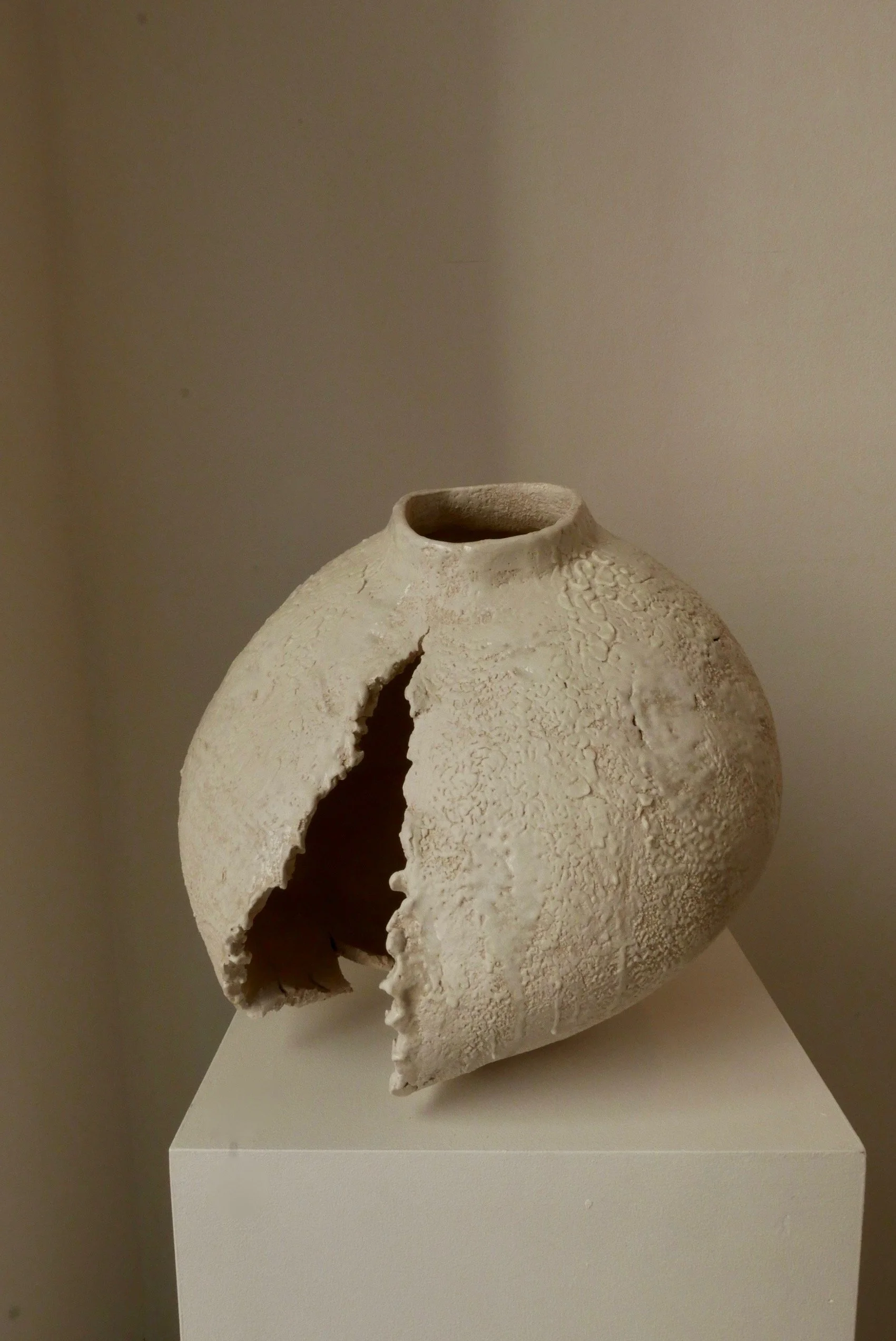 P1250209 copie.jpg