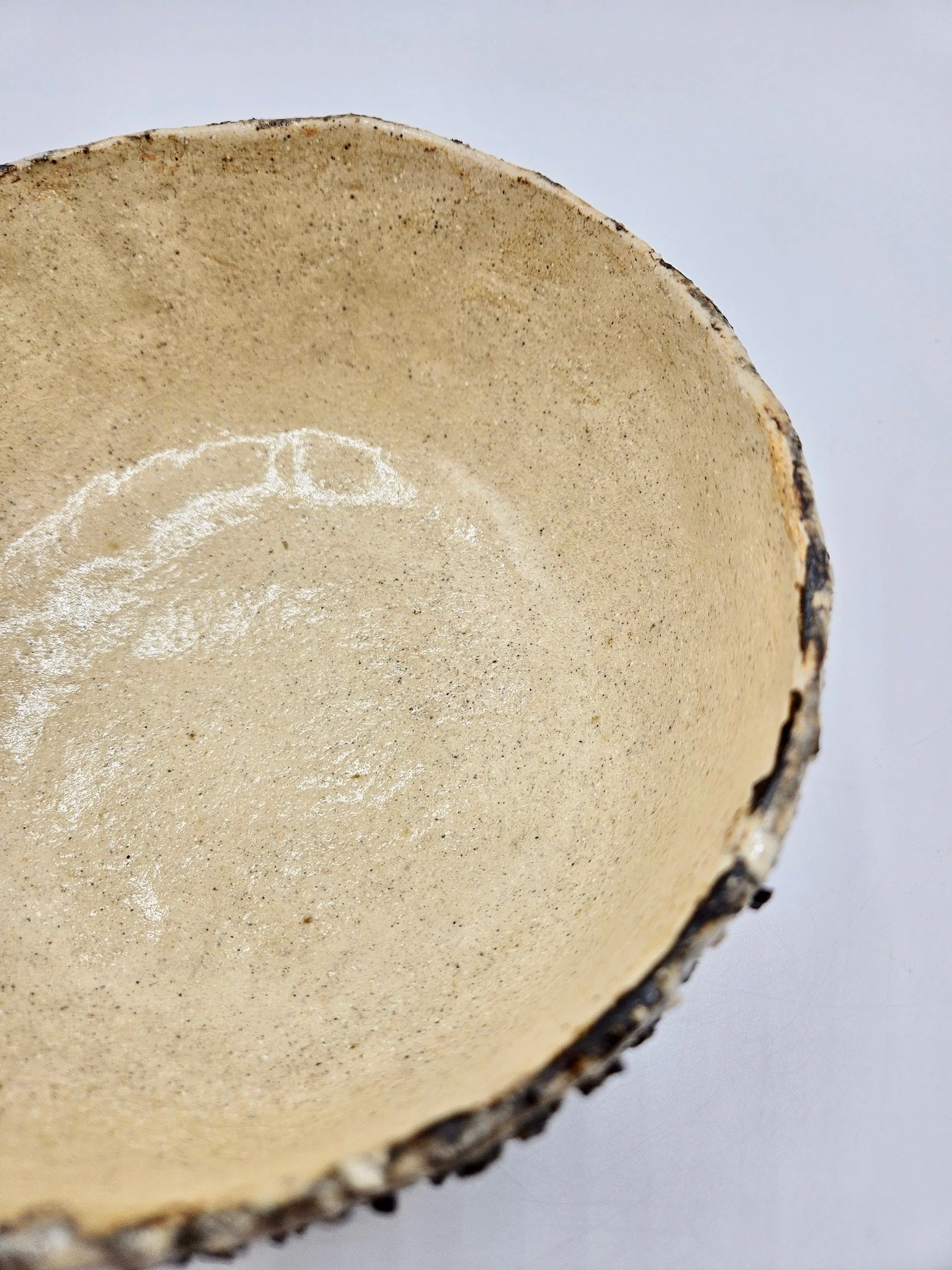 20260523_125155.jpg