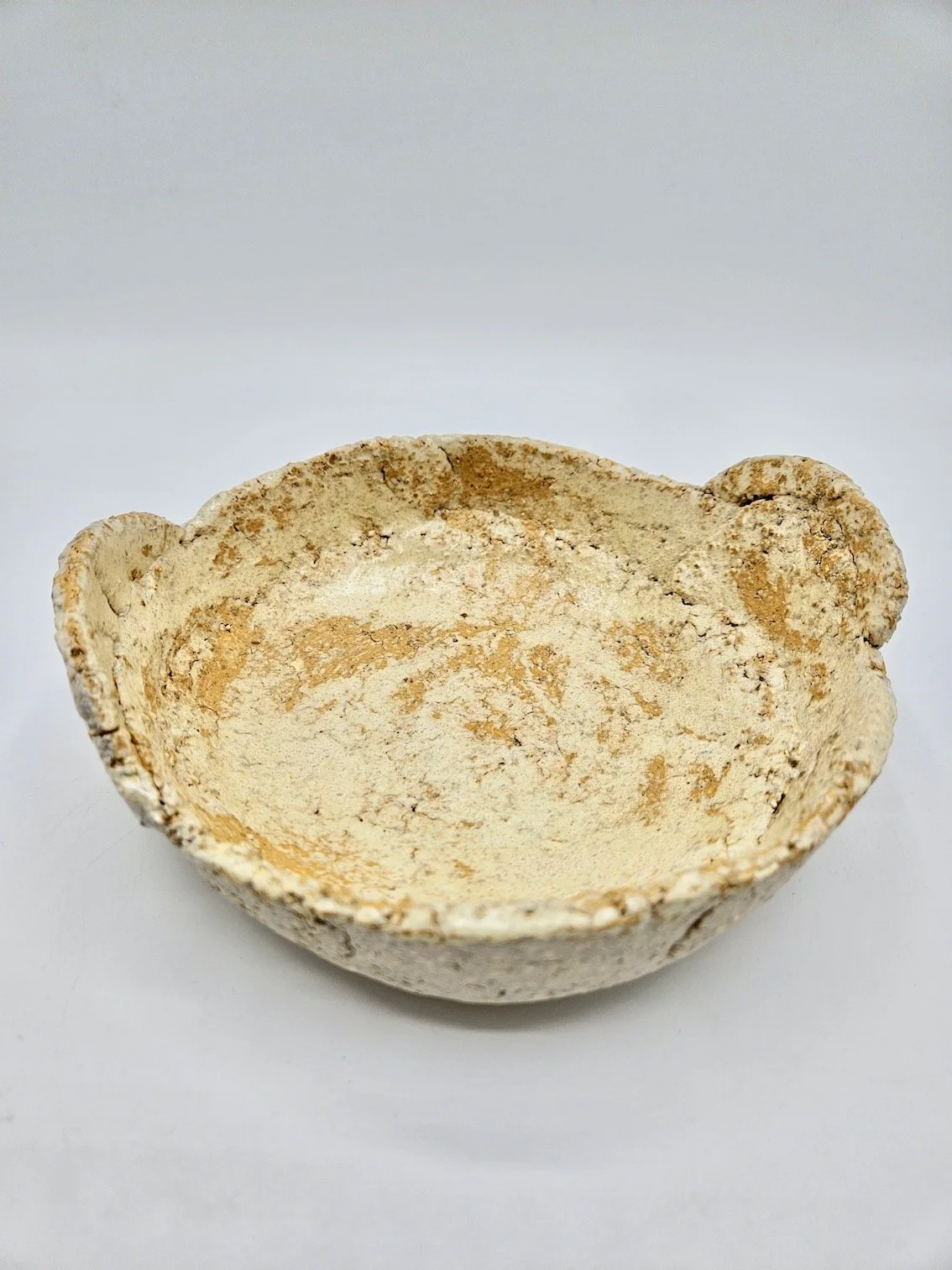 COUPE ARCHEO