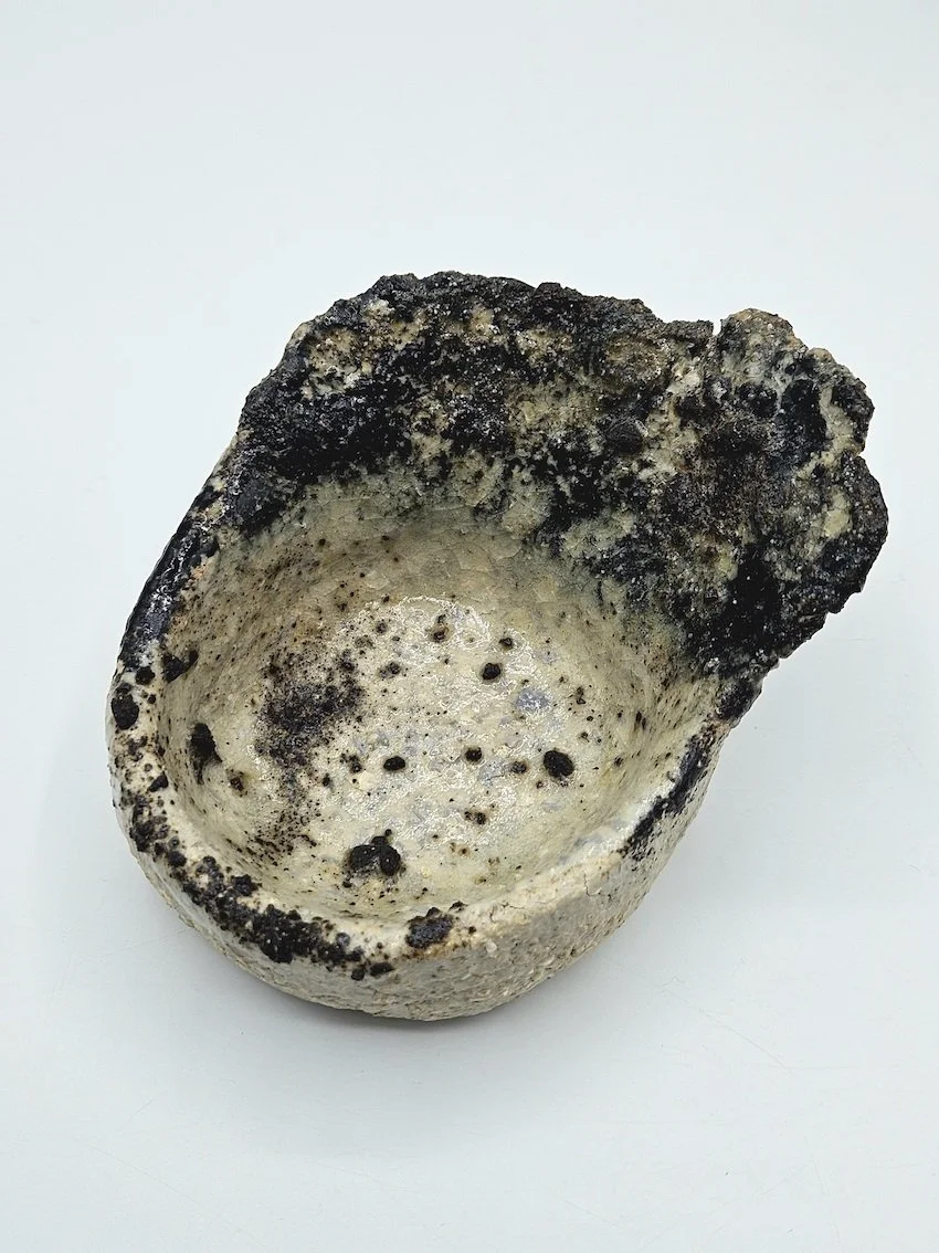 20260402_114342 copie.jpg