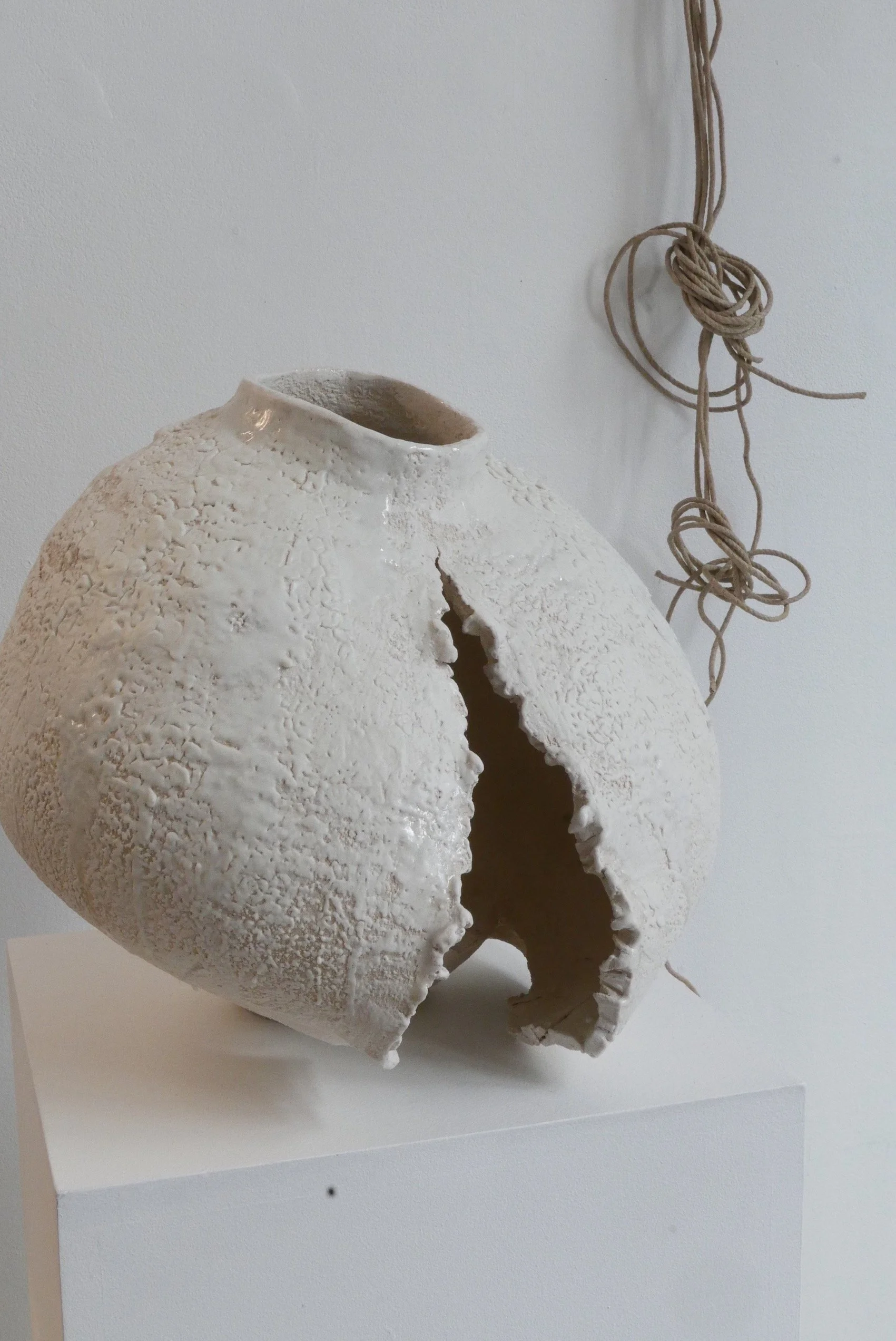 P1250319 copie.jpg