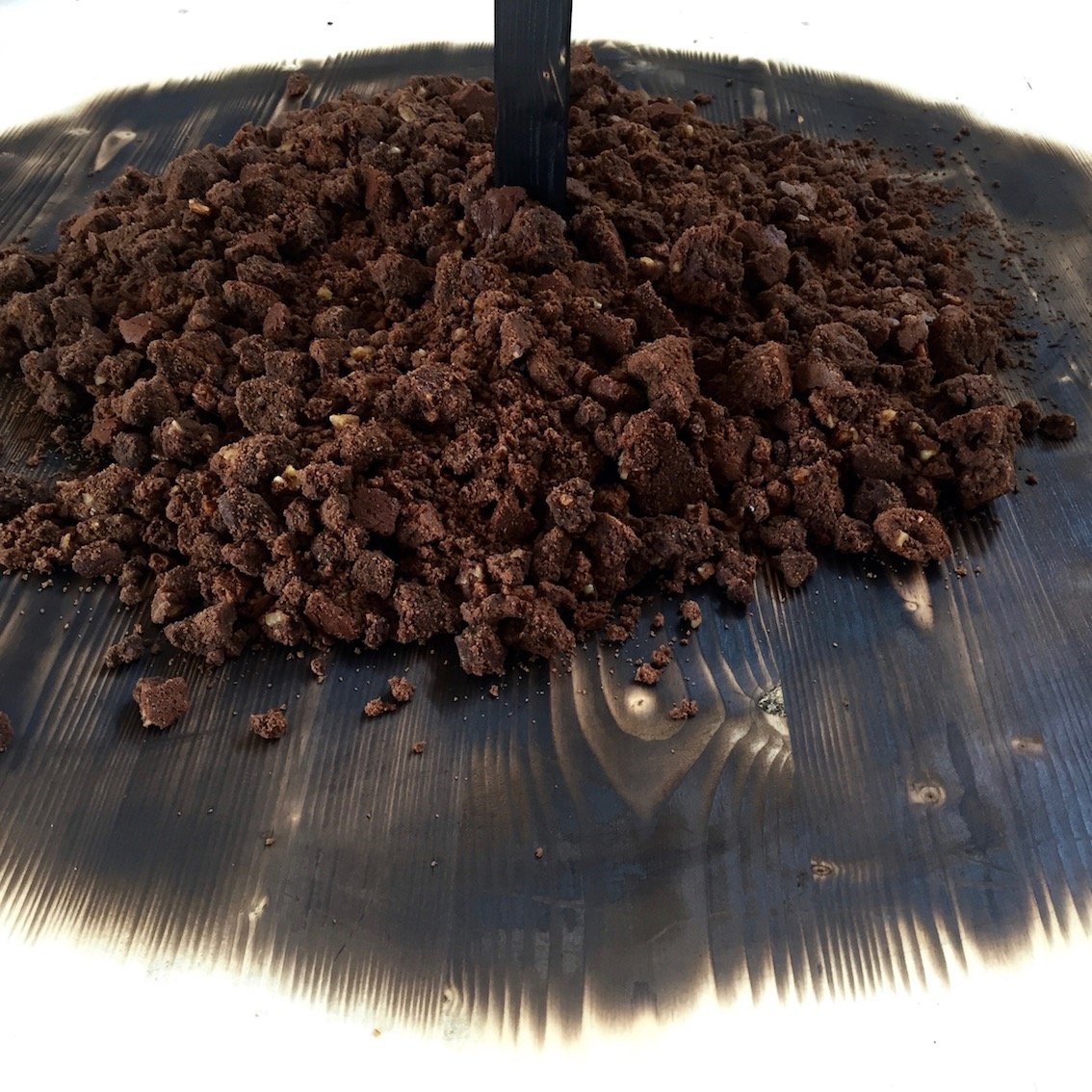 Brownie-terreau copie.jpg