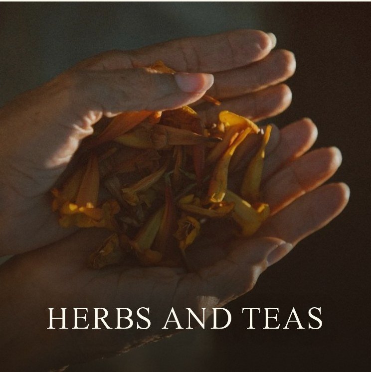 06-tile-04-herbs-teas-LABELED.jpg