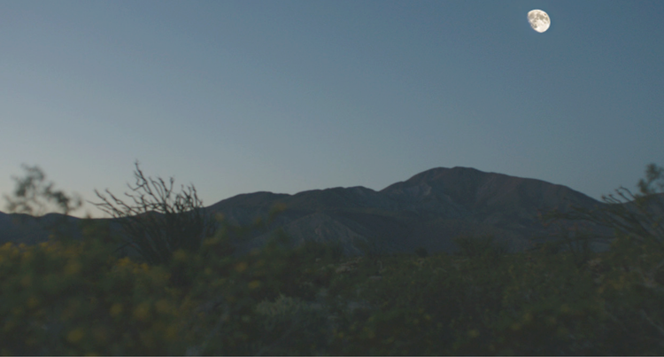 Hills at dusk under a small moon