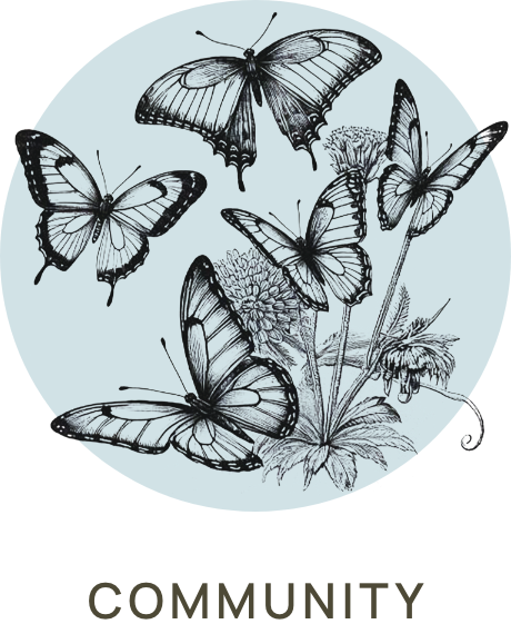 Vintage drawing of a group of butterflies.