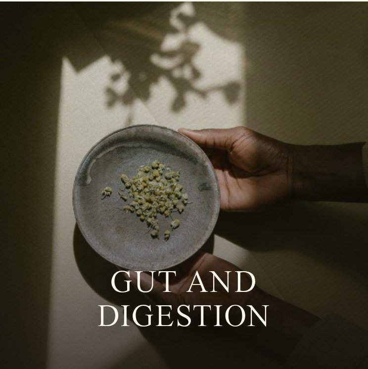 06-tile-03-gut-digestion-LABELED.jpg