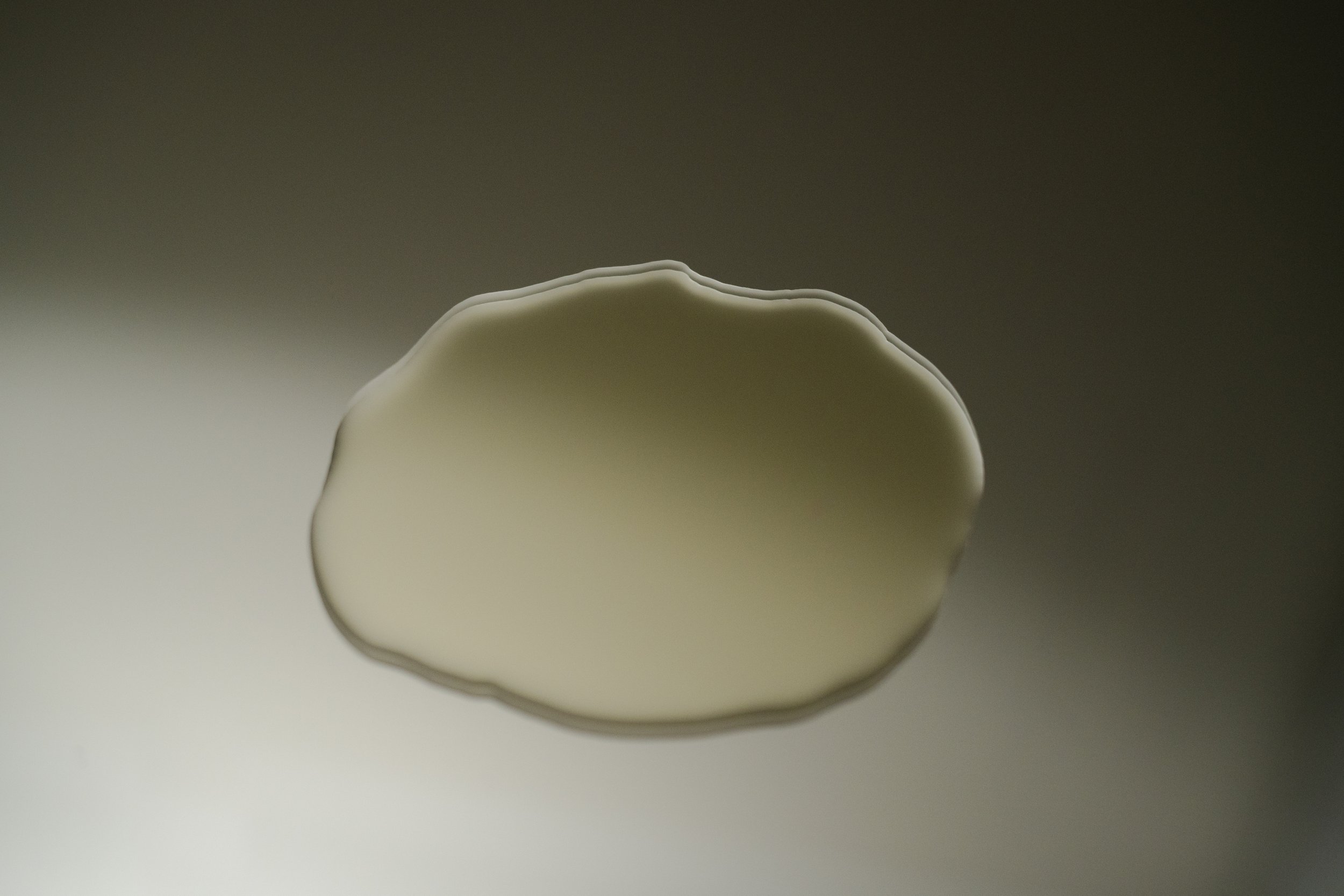 Naked Tallow Studio -46.jpg