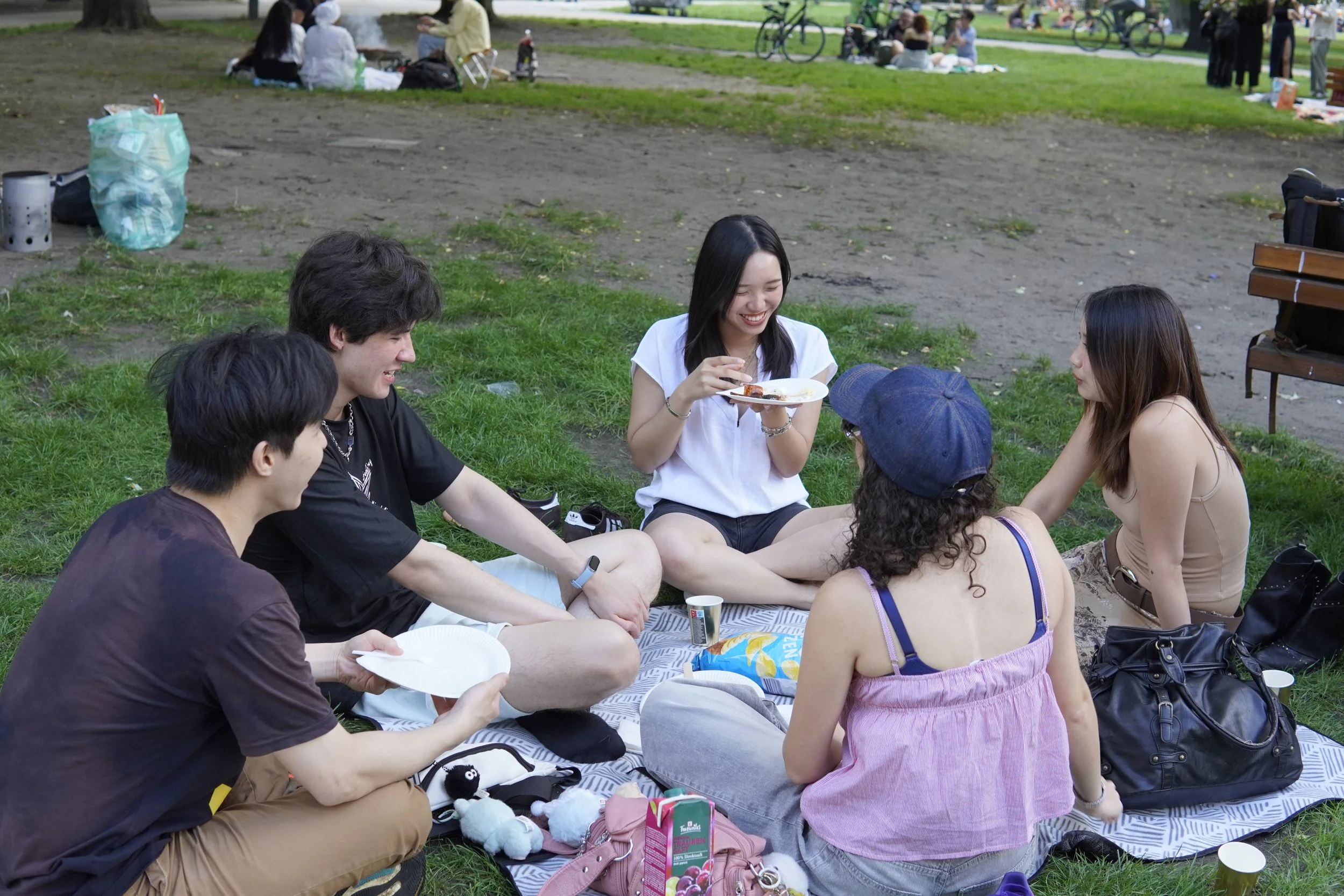 A group of six young adults having a picnic on a blanket in a park, sitting in a circle and chatting, with some food and drinks around them, and other people visible in the background.