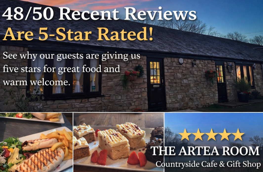 Five-star reviews – why guests keep choosing The Artea Room