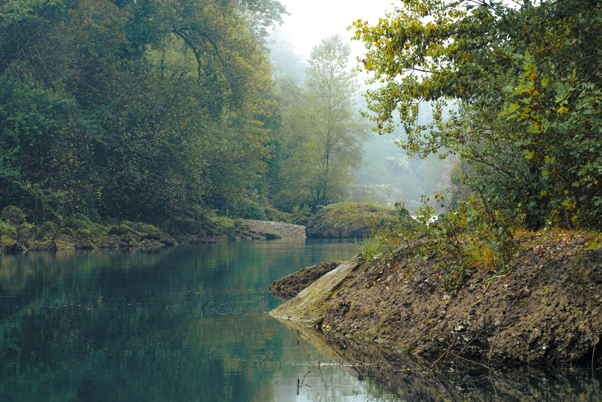 adda_IND0544-1.jpg