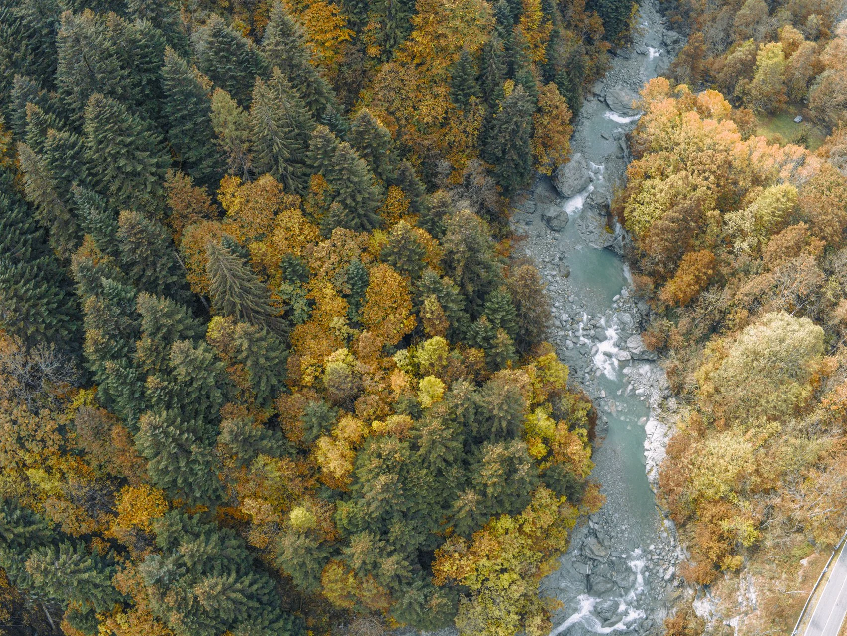 drone devil bosco P2240257 2-1.jpg