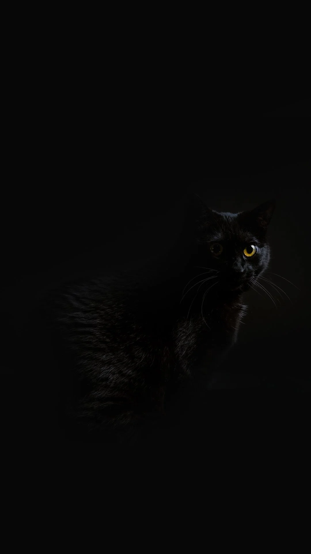pepi-3.jpg