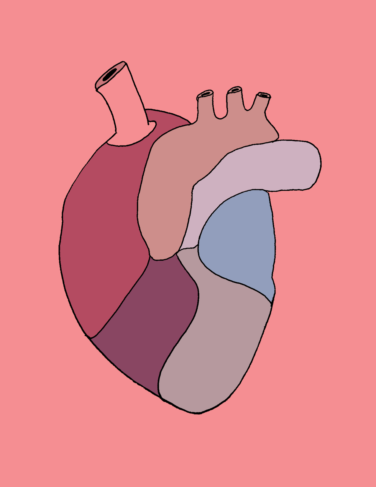 Paula_New Heart.gif