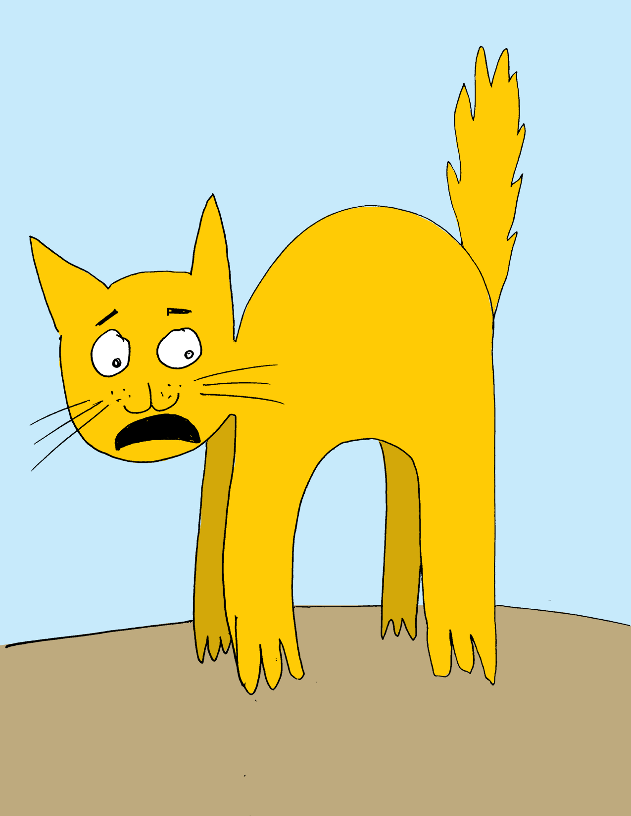 Scared Cat.gif