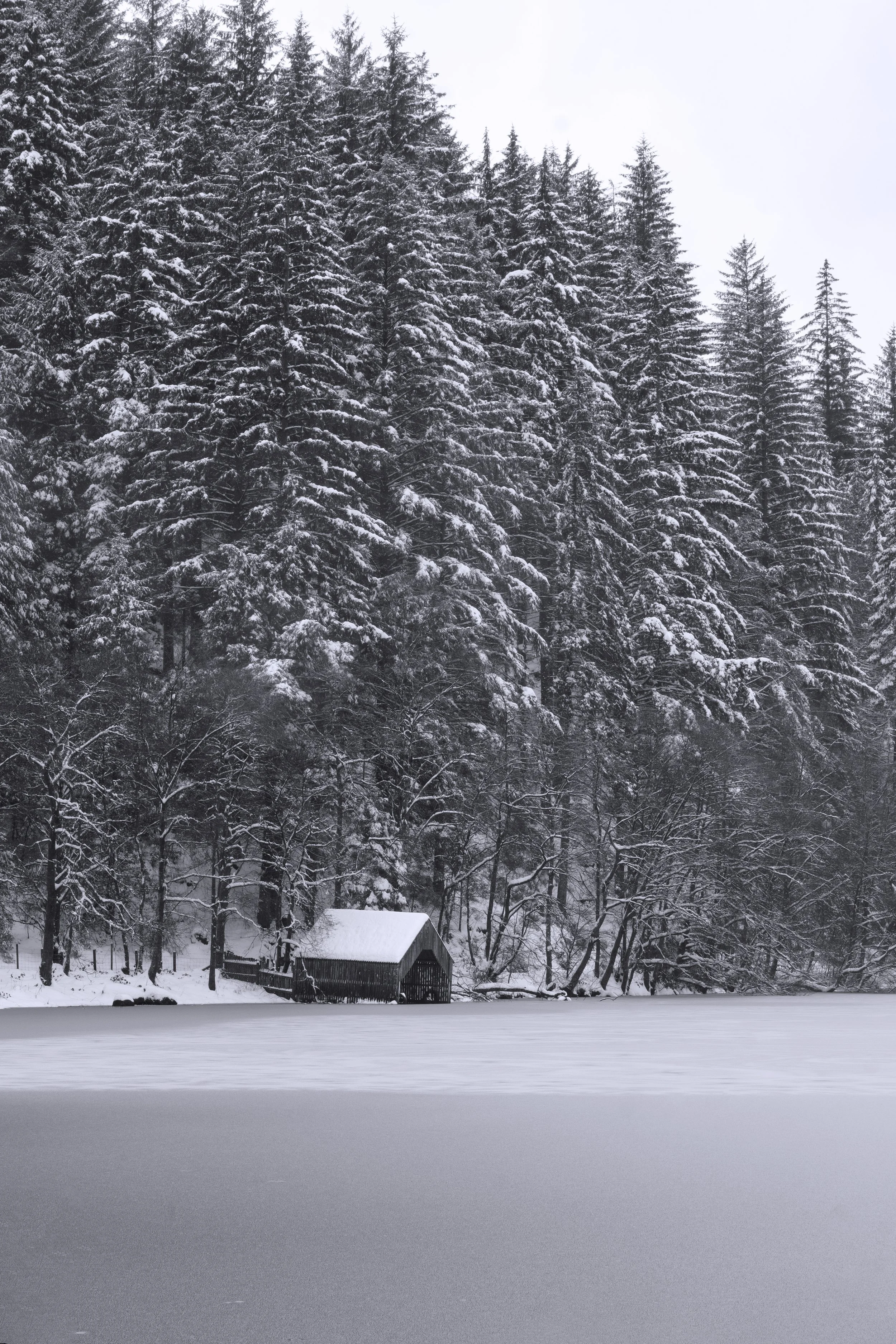 andrew percival 2.jpg