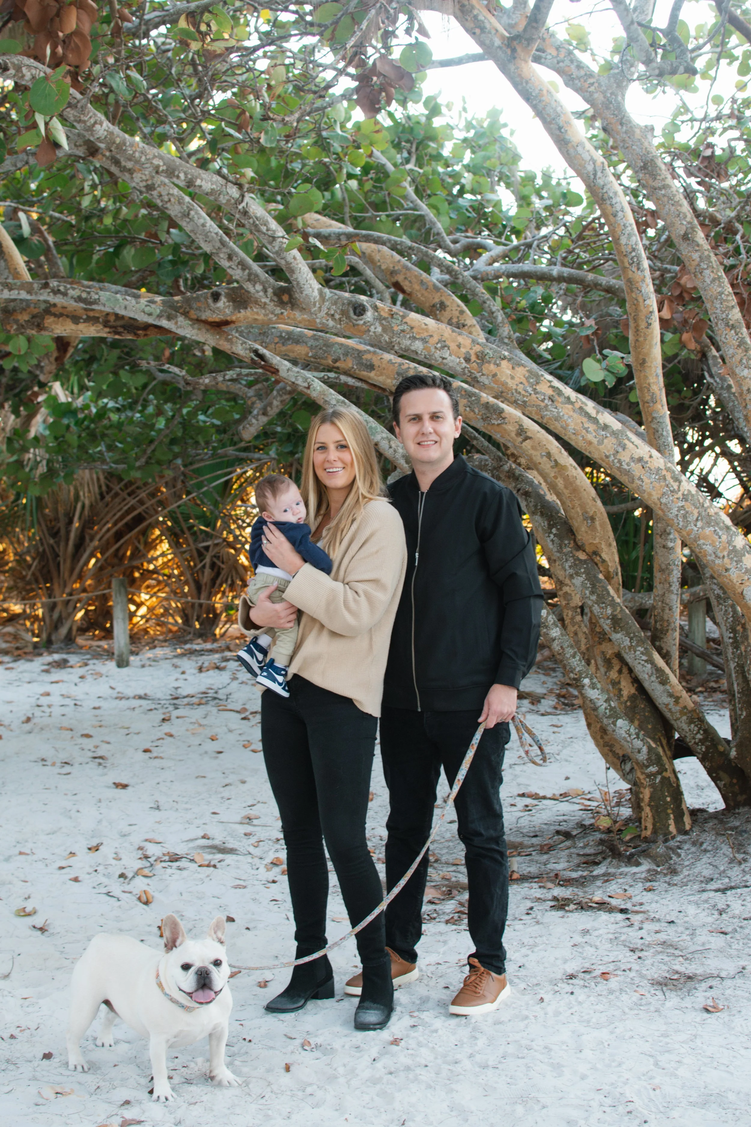 A family of three and their dog standing on a sandy beach under a large tree with sprawling branches and green leaves. The woman is holding a baby, and the man is holding a dog leash.