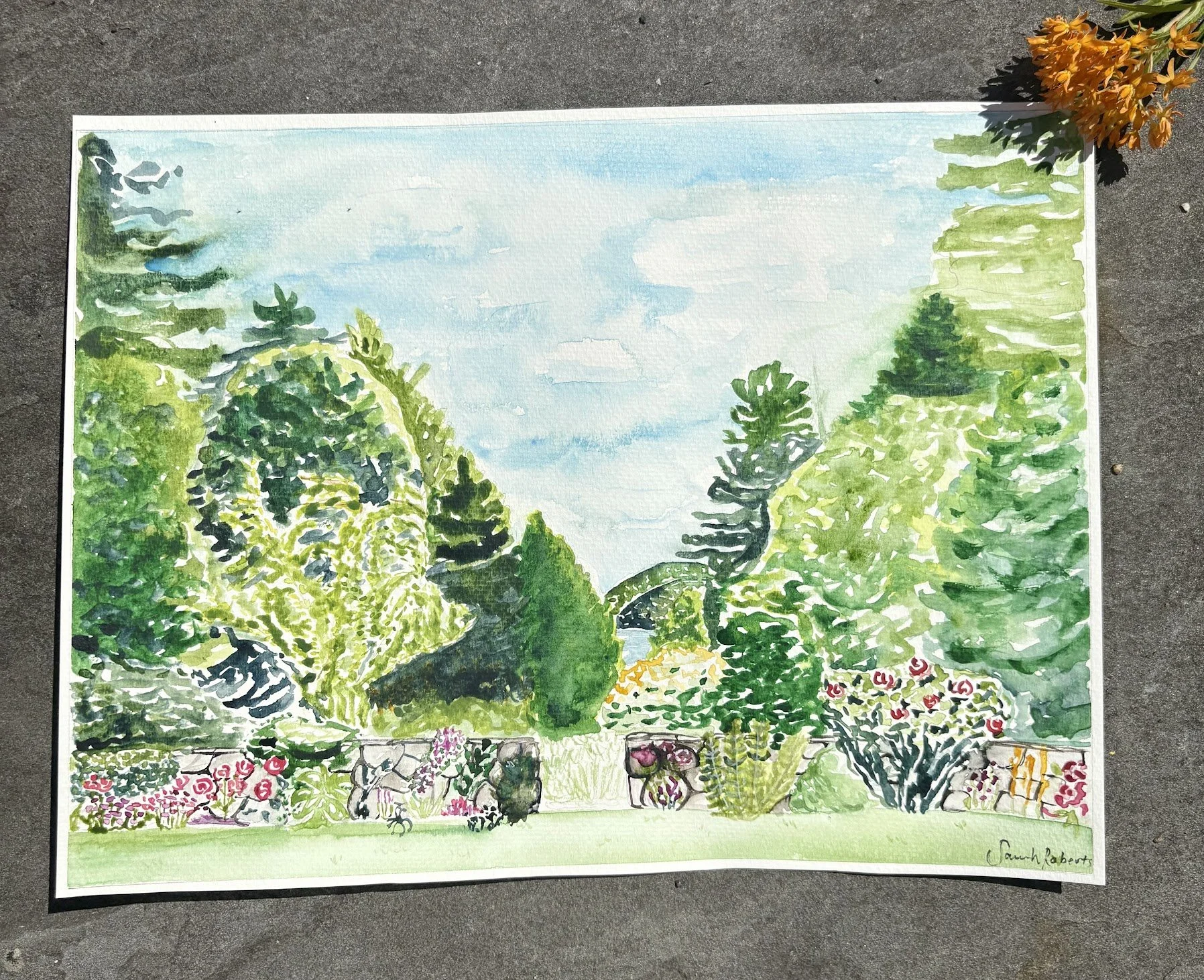 |Rose Garden at the Fells, Original Watercolor Print 8.5 x 11in|