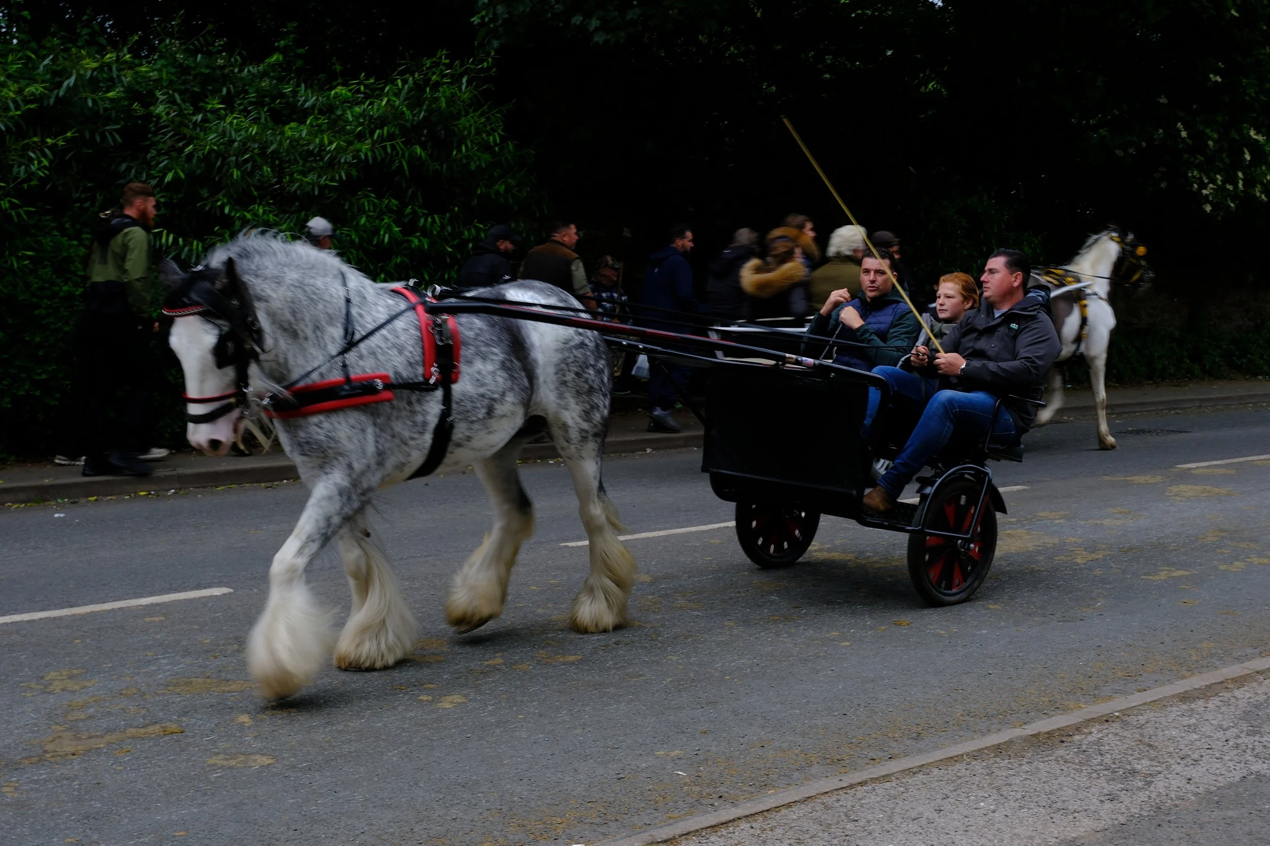 DSCF2498.JPG