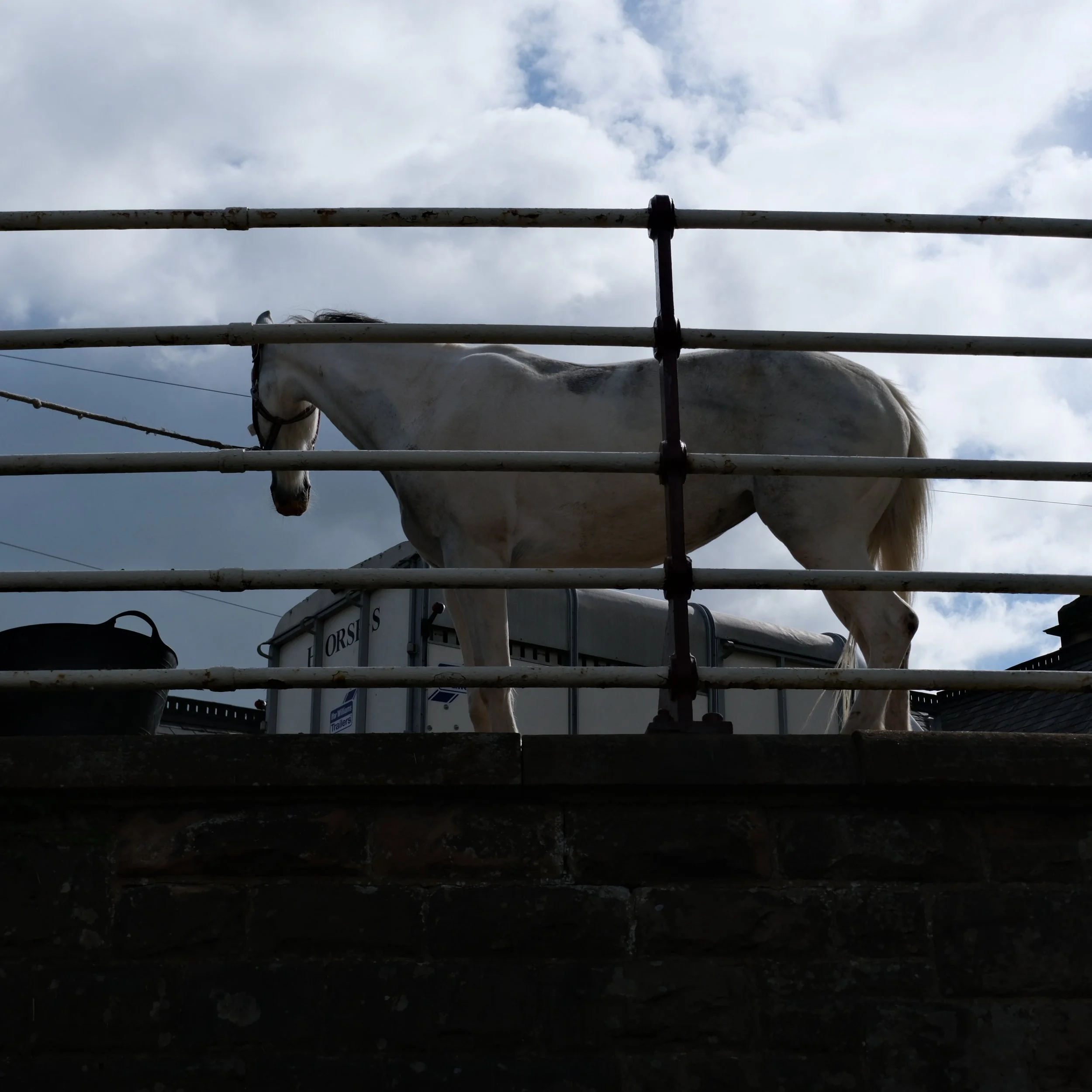 DSCF2352.JPG