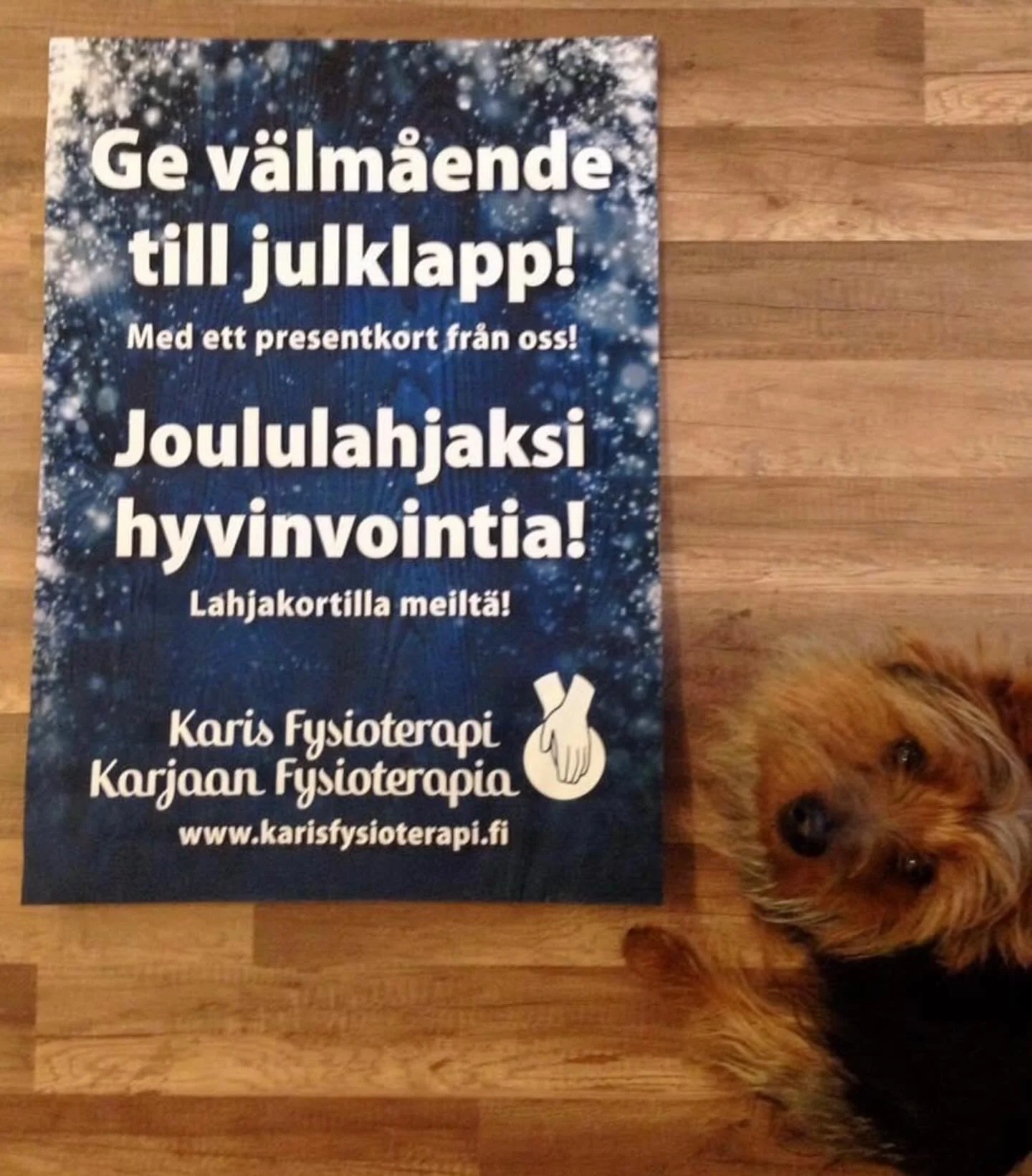 K&ouml;p ett presentkort till julklapp! Fysioterapi, akupunktur, pilates, laser, tr&auml;ning.. 🎁