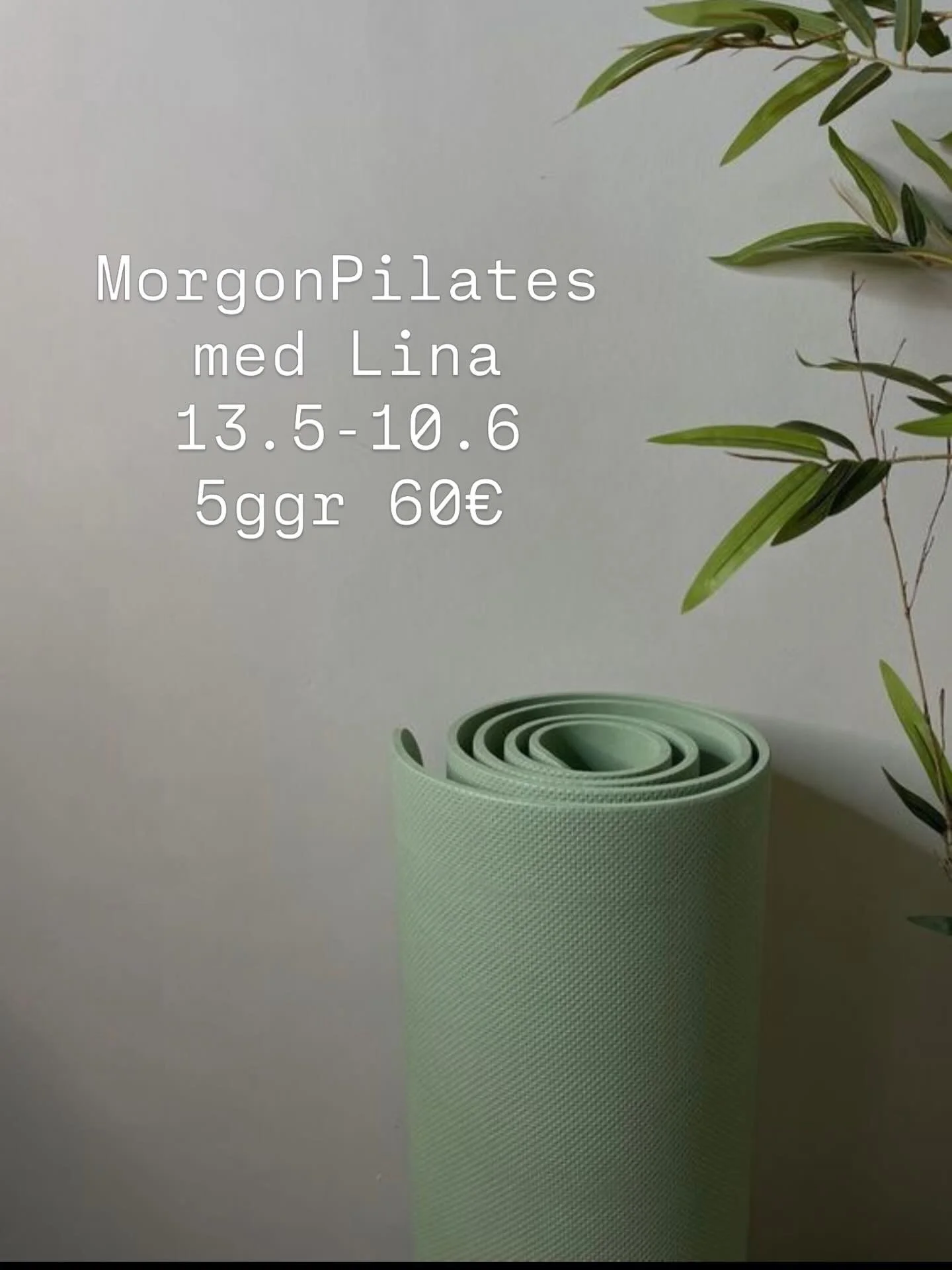 V&aring;rens sista morgonpilates startar onsdag 13.5 kl 8-8.45. 5ggr, 60&euro;. Det finns n&aring;gra platser kvar om du vill joina! 🧘🏽&zwj;♀️